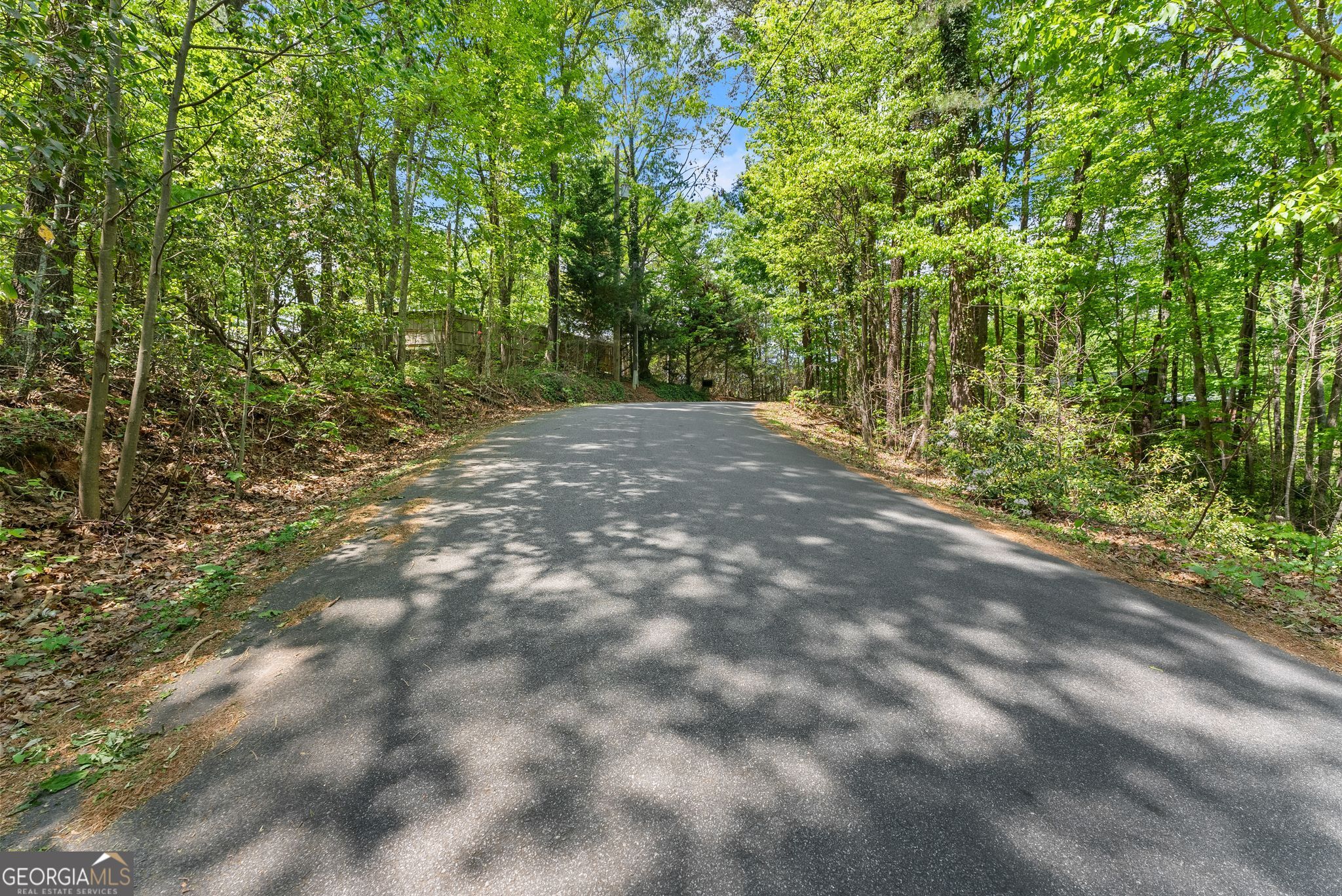 0 Monroe Ridge Road Sautee Nacoochee GA 30571
