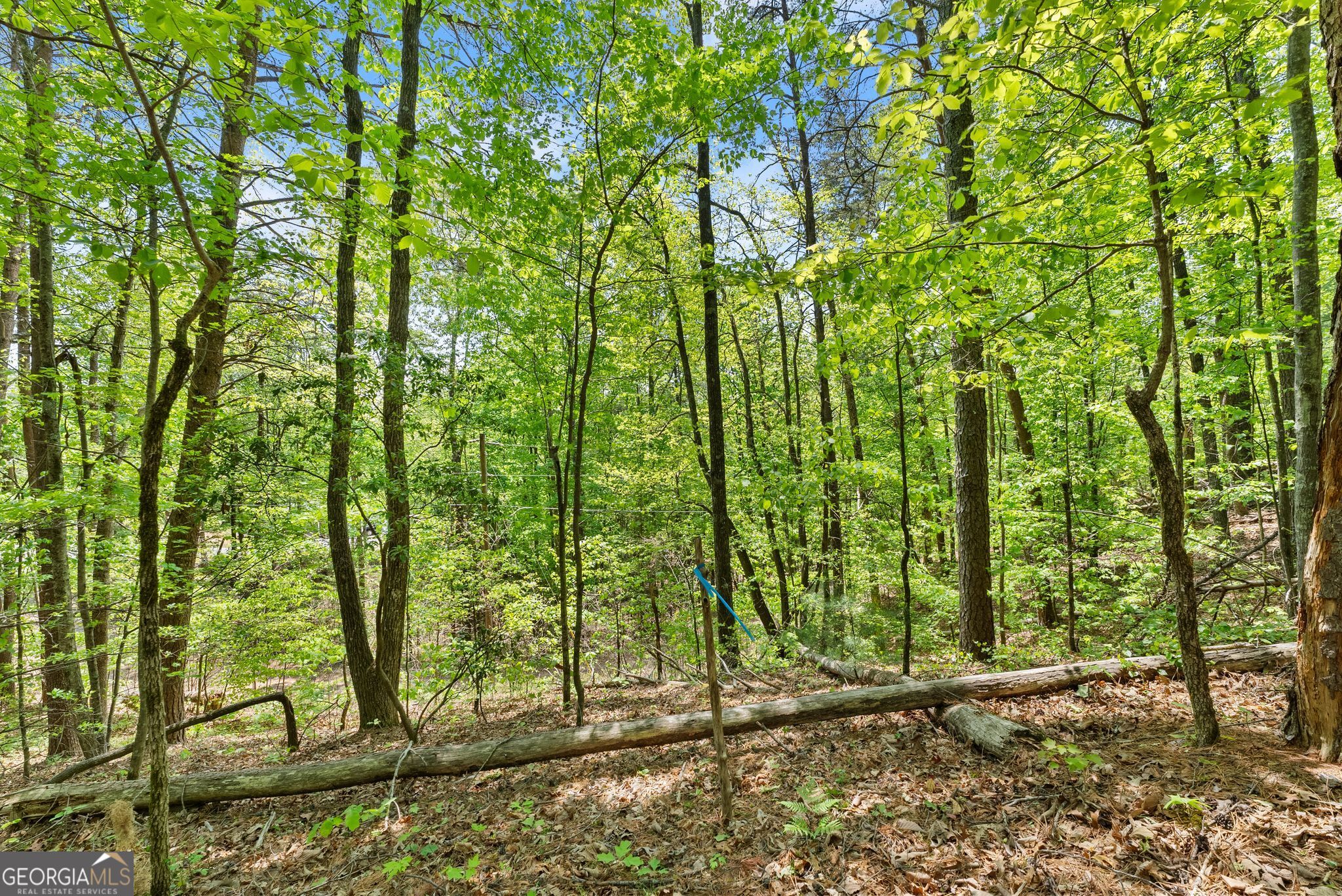 0 Monroe Ridge Road Sautee Nacoochee GA 30571