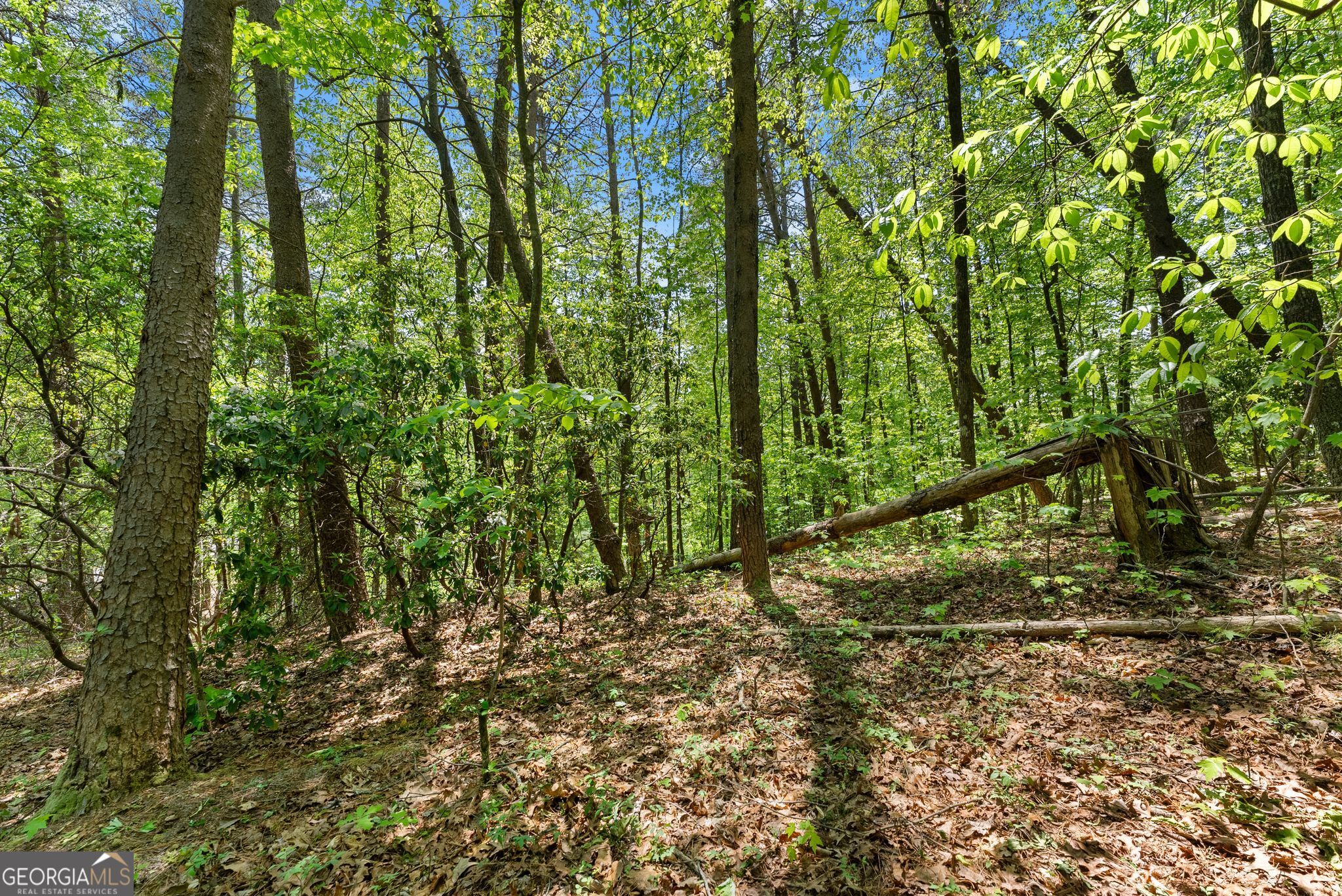 0 Monroe Ridge Road Sautee Nacoochee GA 30571