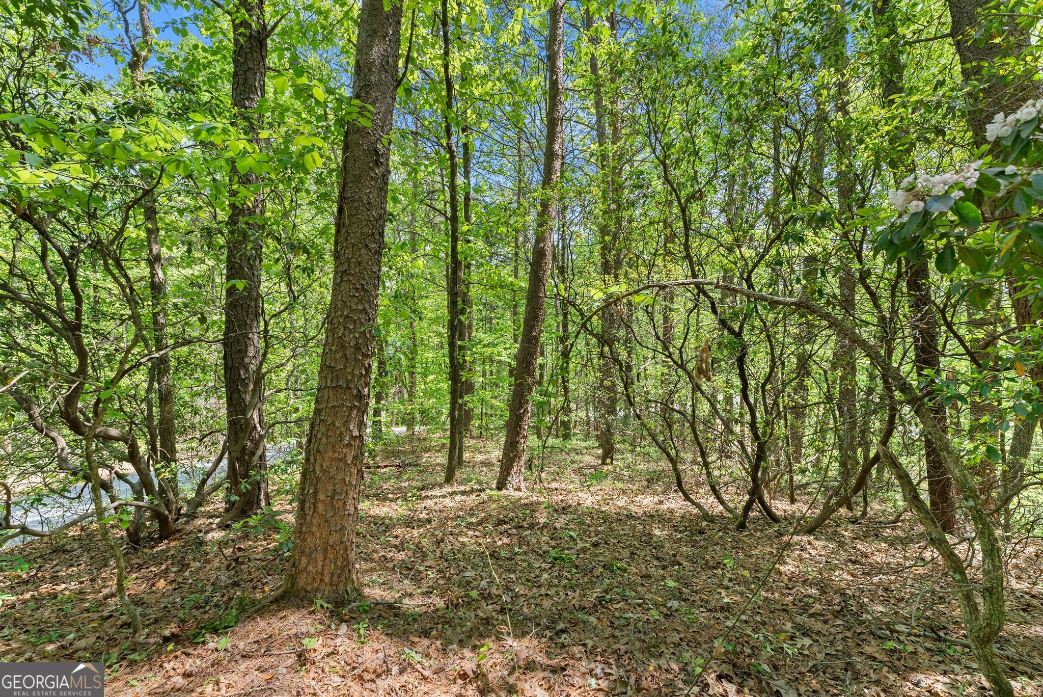 0 Monroe Ridge Road Sautee Nacoochee GA 30571