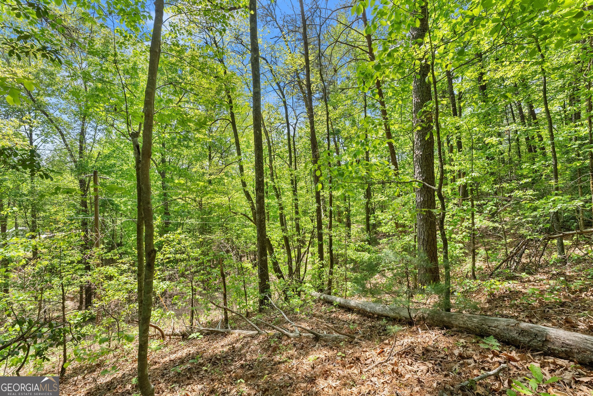 0 Monroe Ridge Road Sautee Nacoochee GA 30571