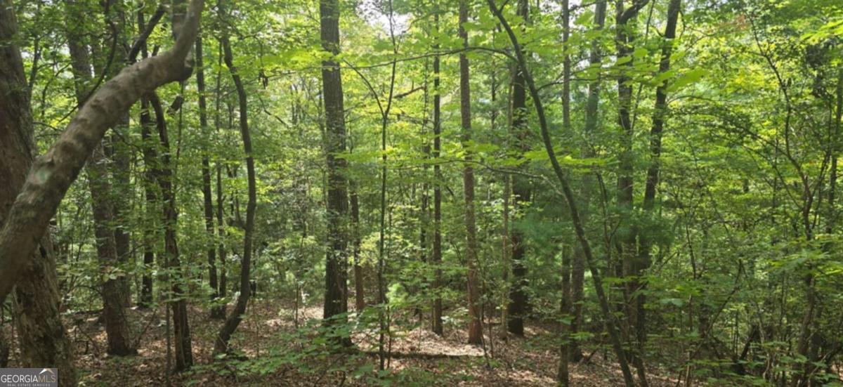 Lot 17 Abbott Mill Road Ellijay GA 30540