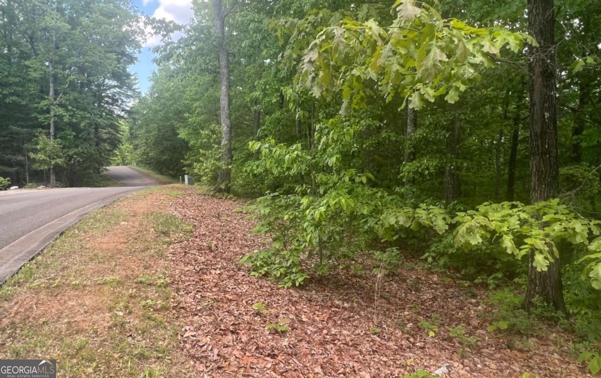 Lot 17 Abbott Mill Road Ellijay GA 30540