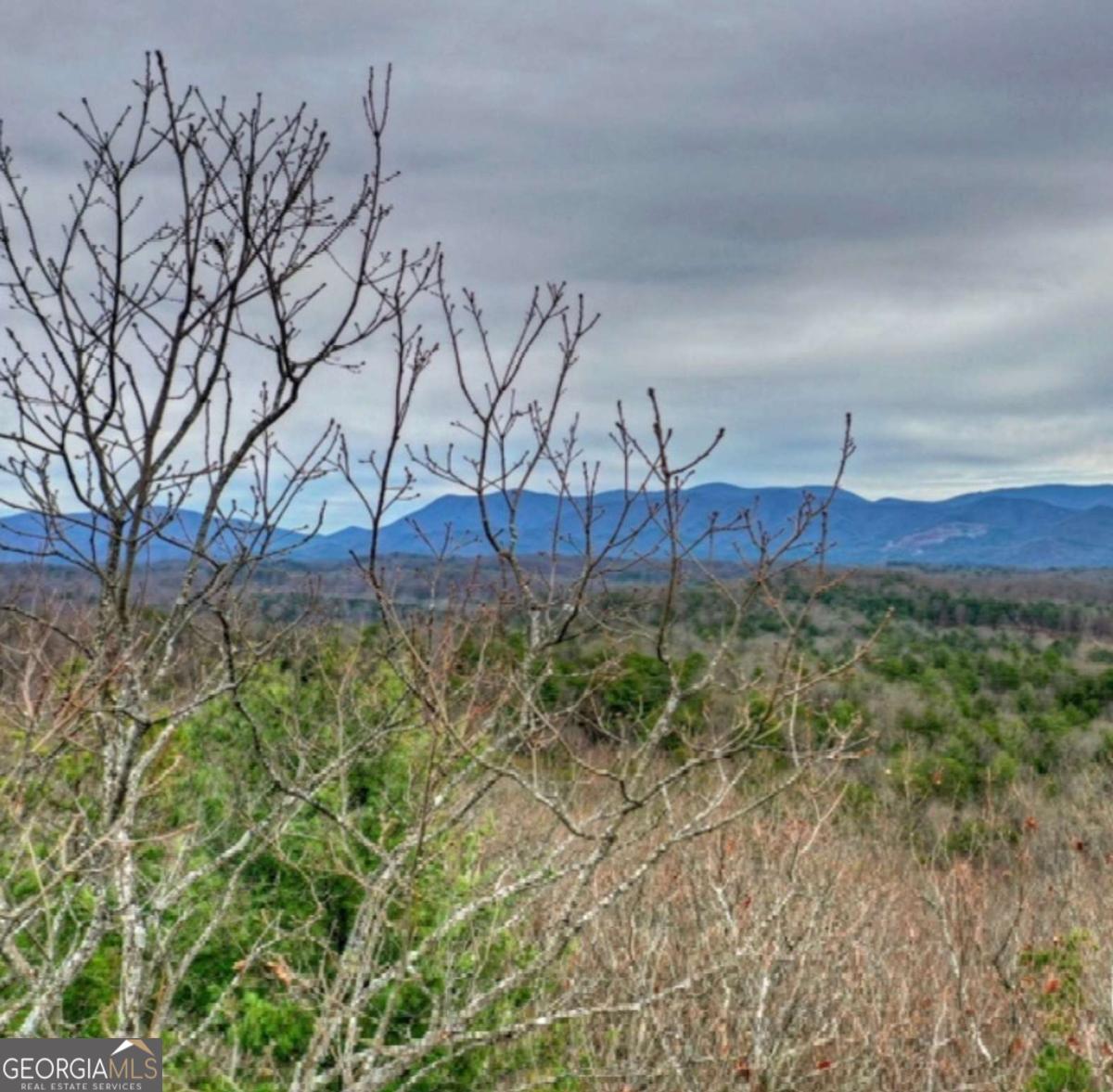 Lot 17 Abbott Mill Road Ellijay GA 30540