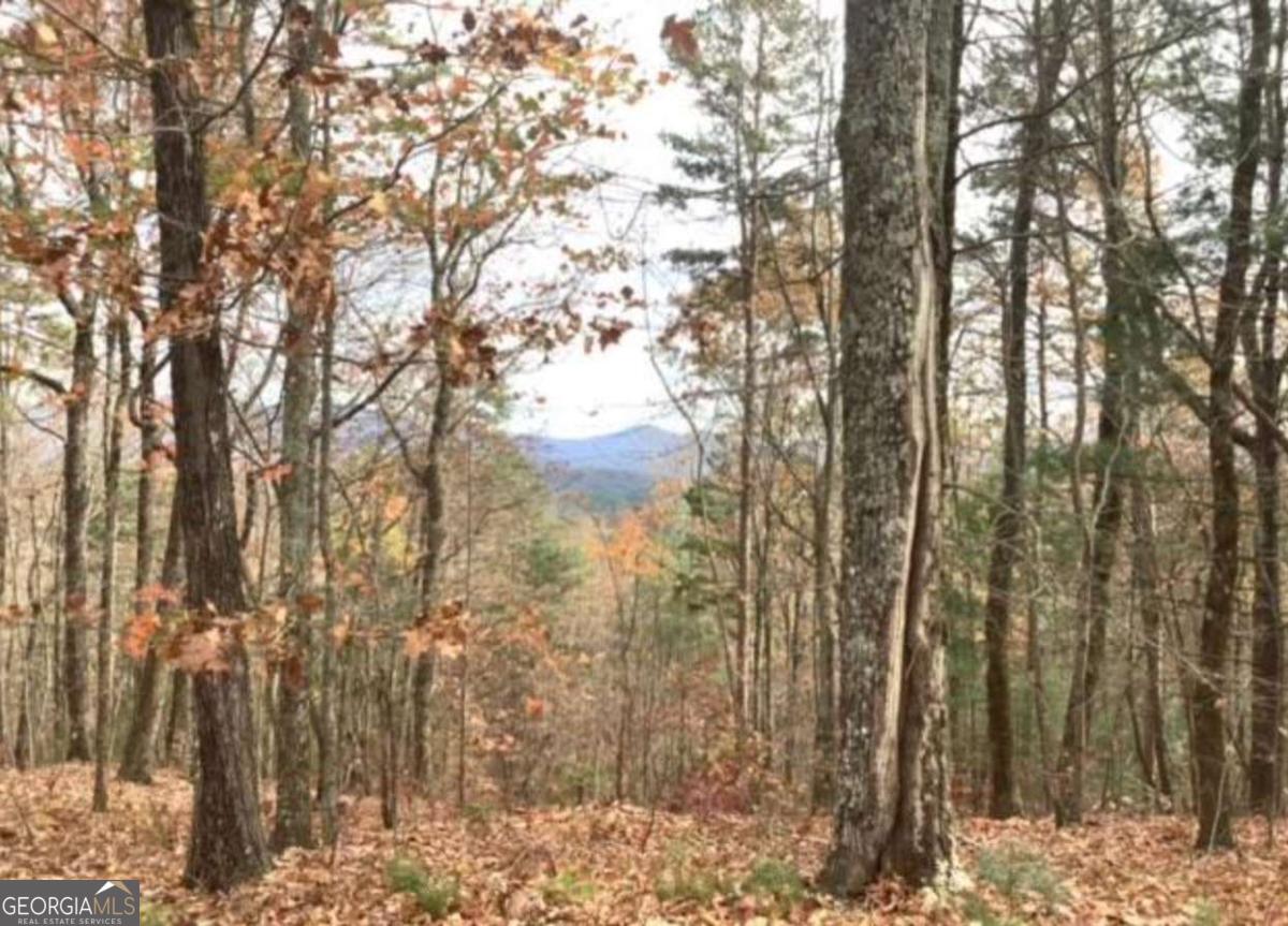 Lot 17 Abbott Mill Road Ellijay GA 30540