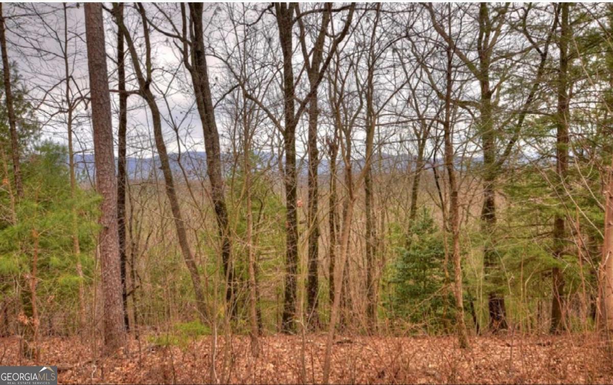 Lot 17 Abbott Mill Road Ellijay GA 30540