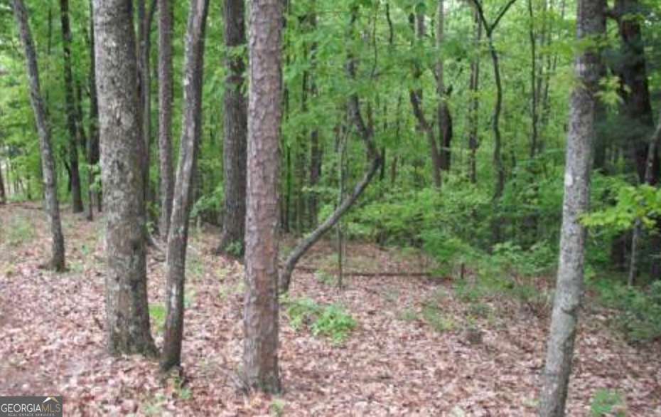 Lot 17 Abbott Mill Road Ellijay GA 30540