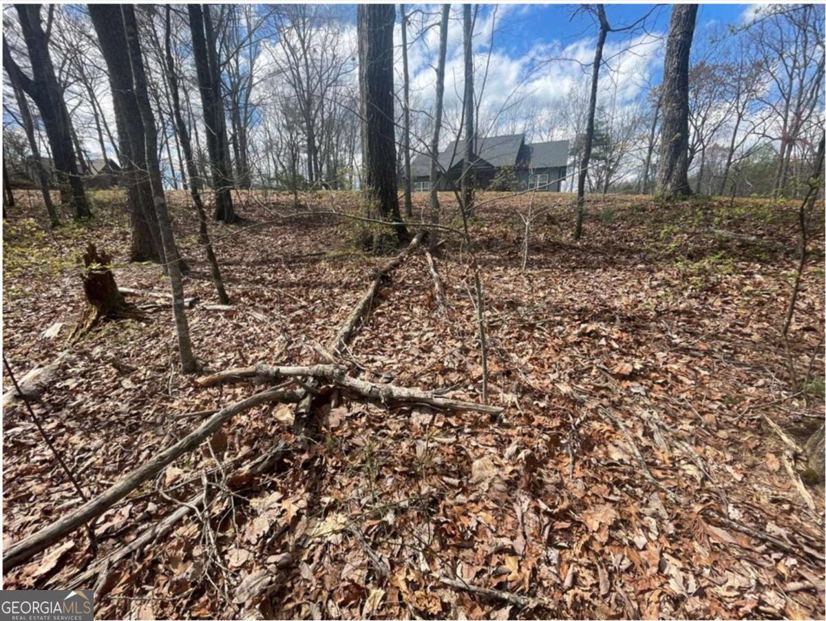 Lot 17 Abbott Mill Road Ellijay GA 30540