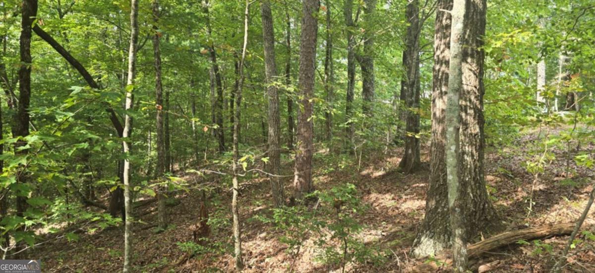 Lot 17 Abbott Mill Road Ellijay GA 30540