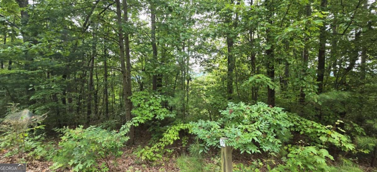 Lot 17 Abbott Mill Road Ellijay GA 30540