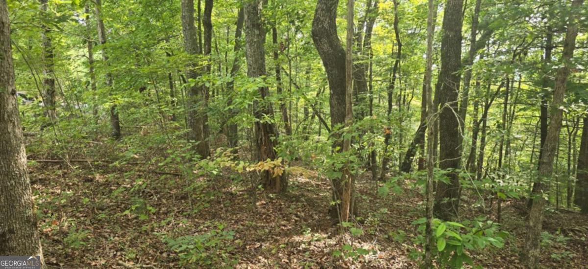 Lot 17 Abbott Mill Road Ellijay GA 30540