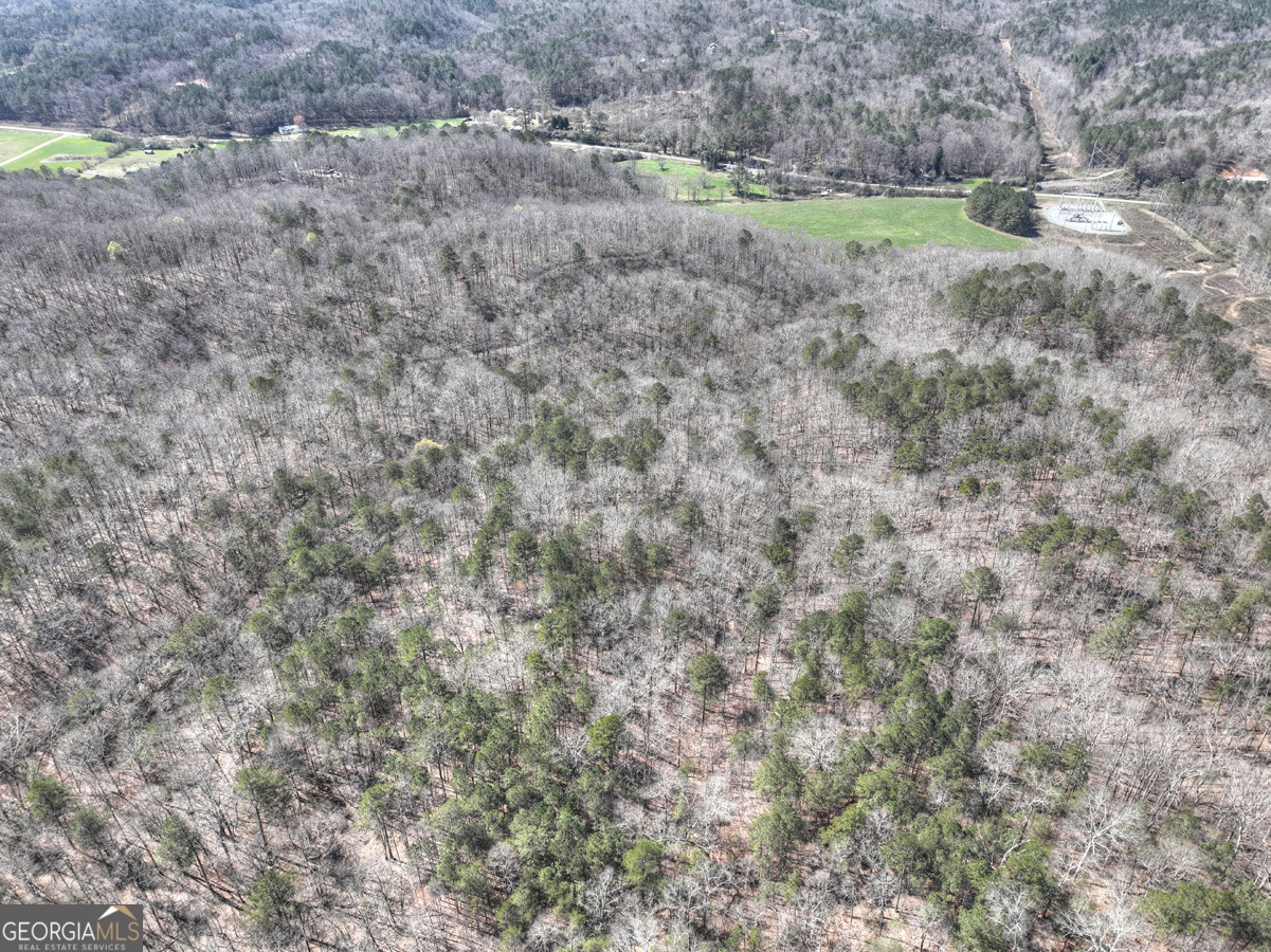 0 Highway 515 Ellijay GA 30540