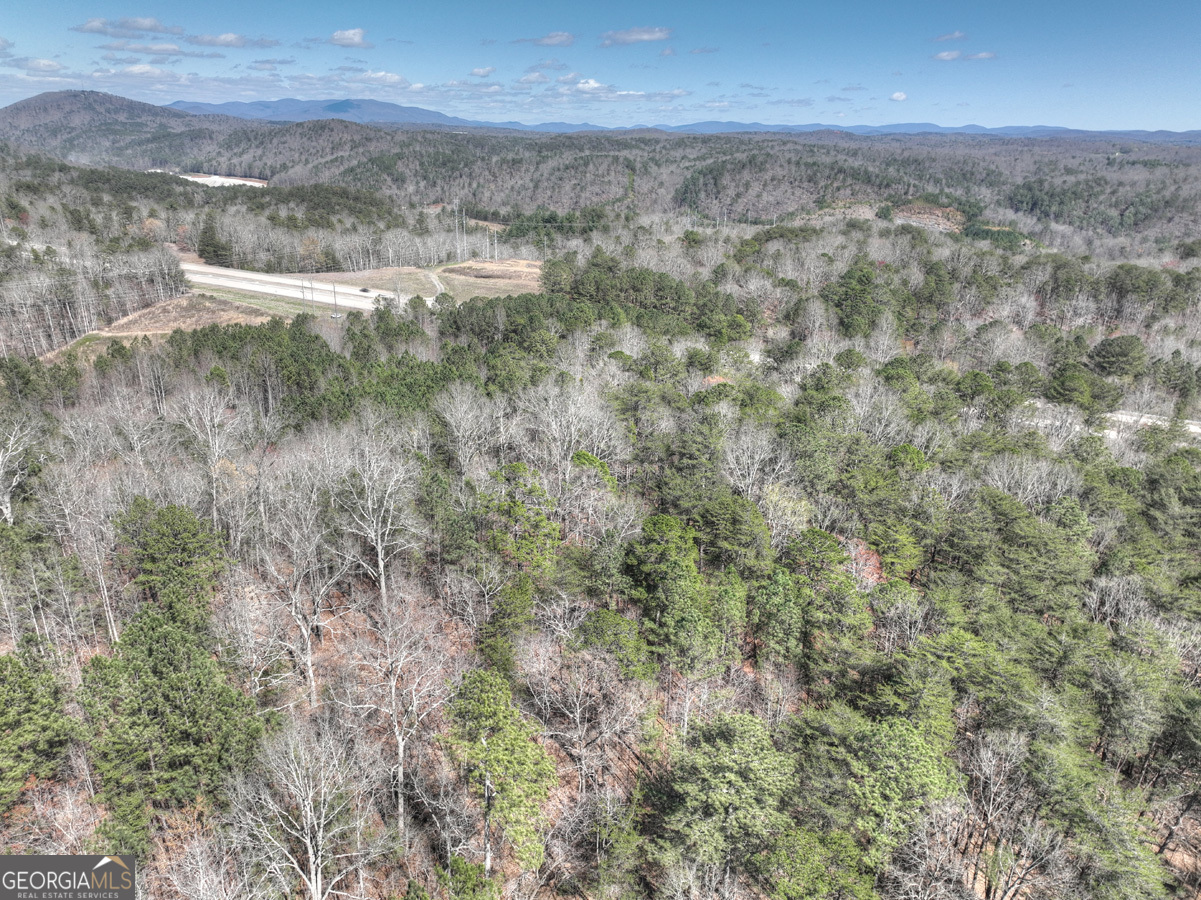 0 Highway 515 Ellijay GA 30540