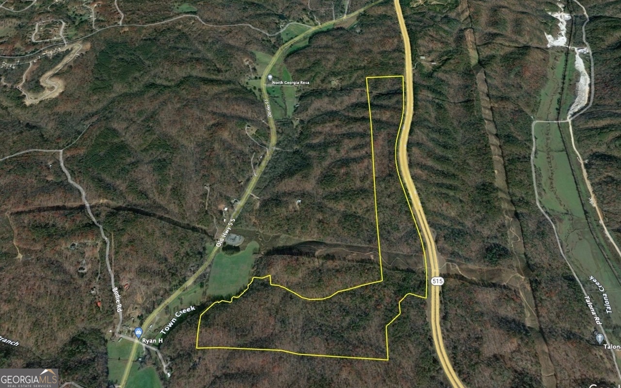 0 Highway 515 Ellijay GA 30540