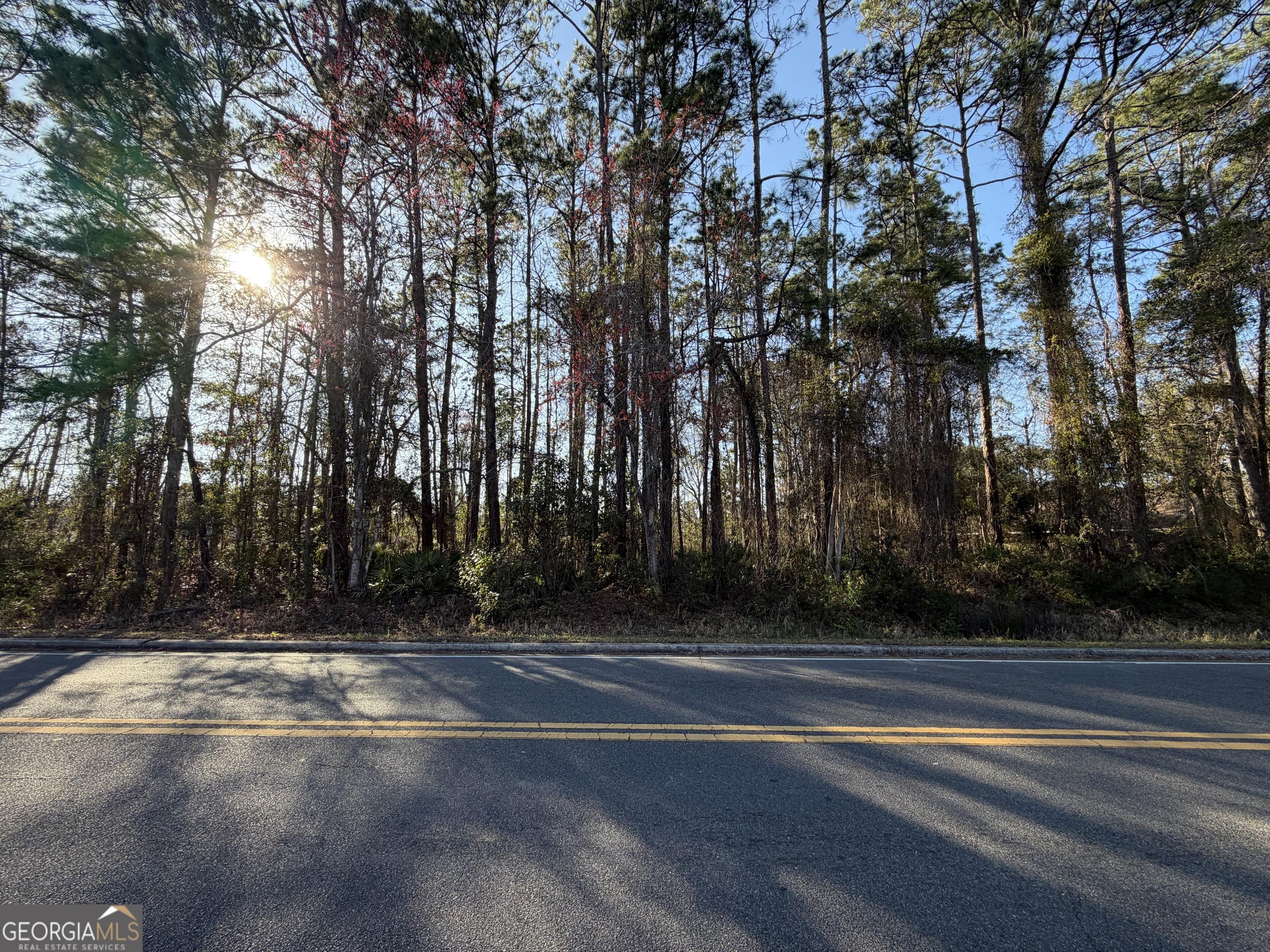 0 Martin Luther King Jr Kingsland GA 31548