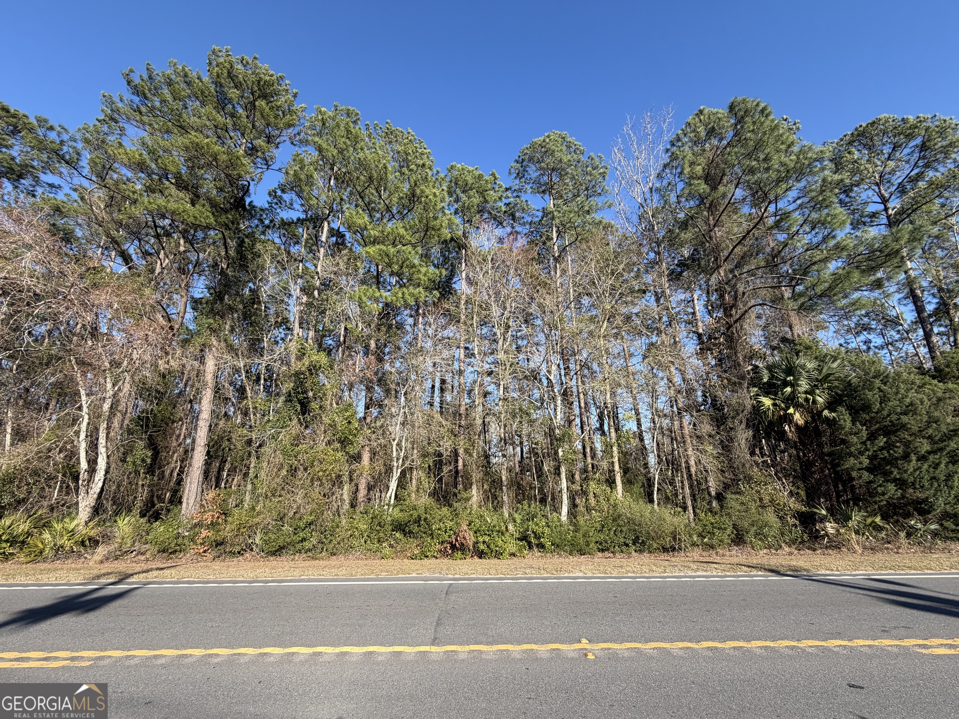 0 Martin Luther King Jr Kingsland GA 31548