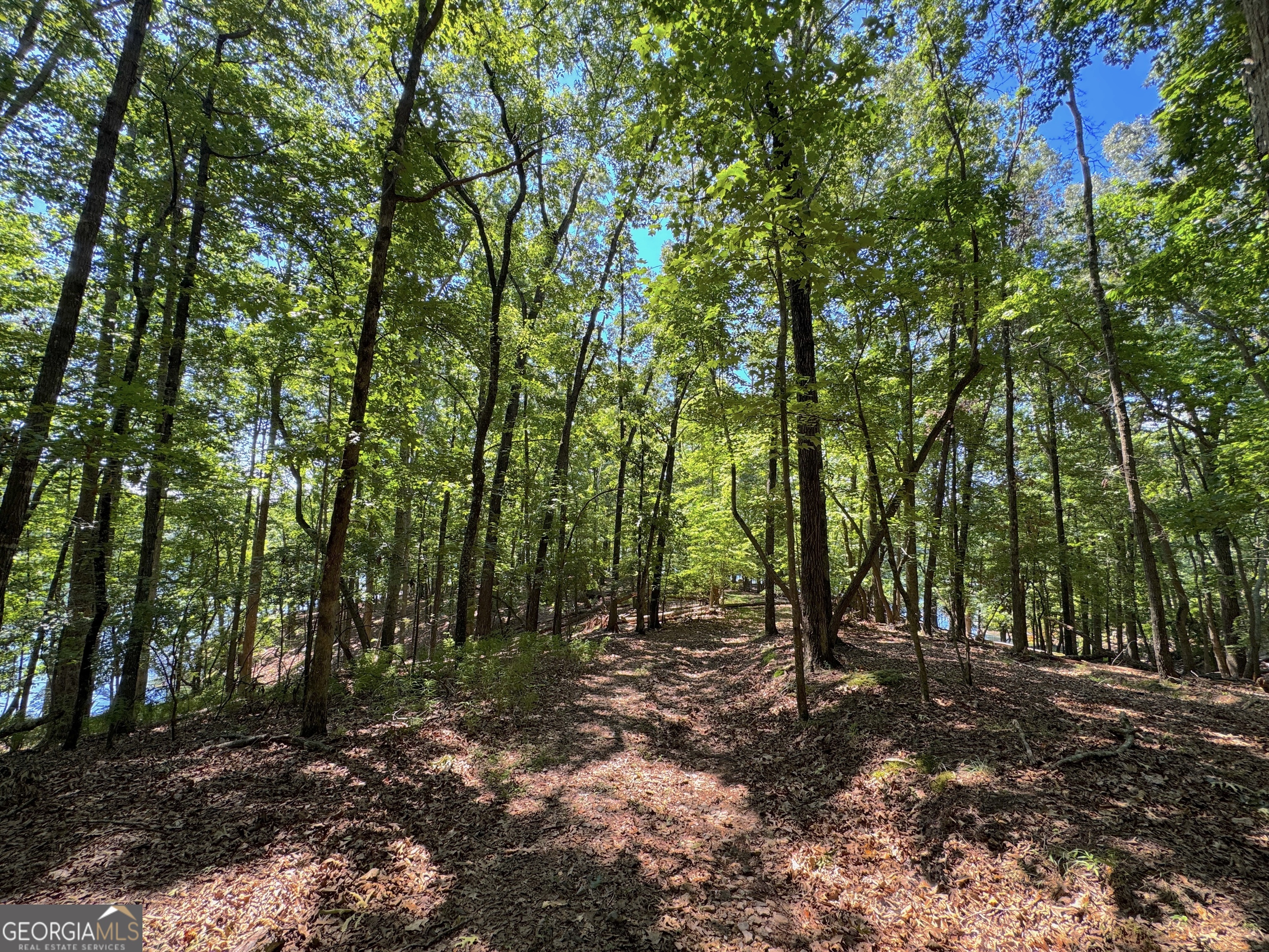 3475 Cook Road Gainesville GA 30506