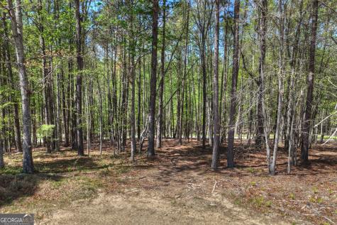 3455 Jones Creek Road Blairsville GA 30512