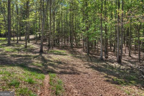3455 Jones Creek Road Blairsville GA 30512