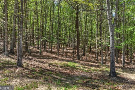 3455 Jones Creek Road Blairsville GA 30512