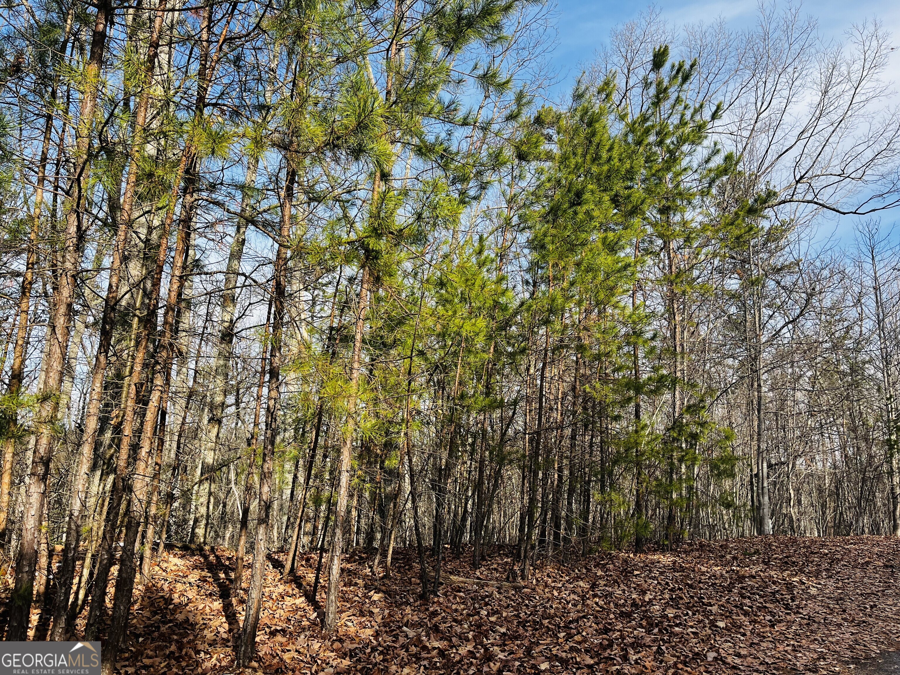 Lot 6 Planters Pointe Drive Baldwin GA 30511