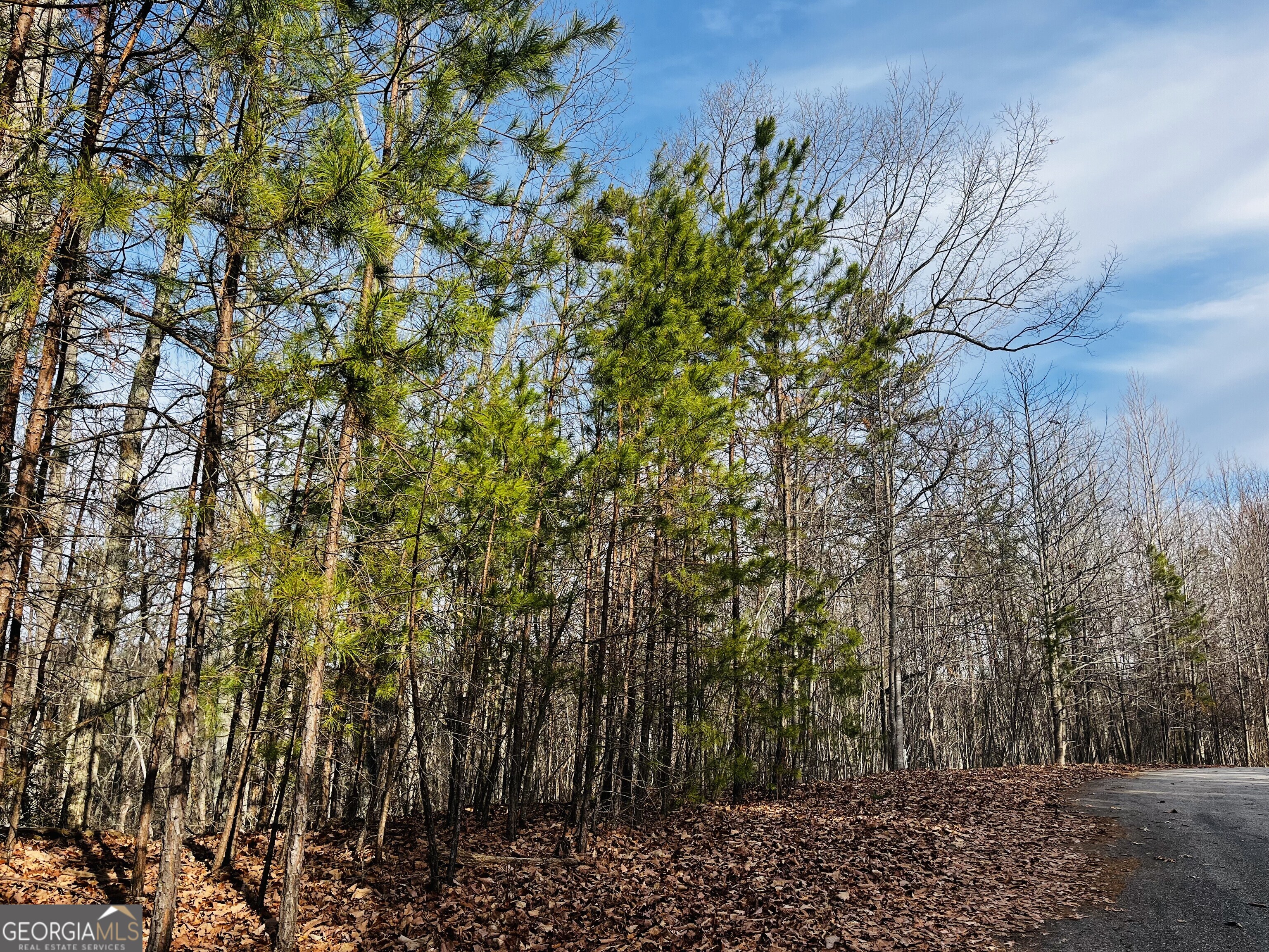 Lot 6 Planters Pointe Drive Baldwin GA 30511