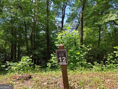 Lot 12 Hightower Ridge Hiawassee GA 30546