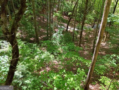 Lot 12 Hightower Ridge Hiawassee GA 30546