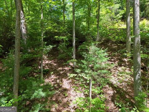 Lot 12 Hightower Ridge Hiawassee GA 30546