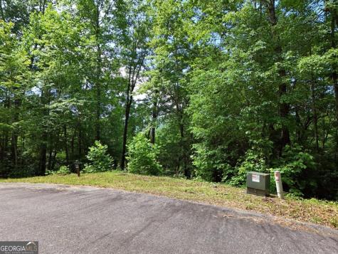 Lot 12 Hightower Ridge Hiawassee GA 30546