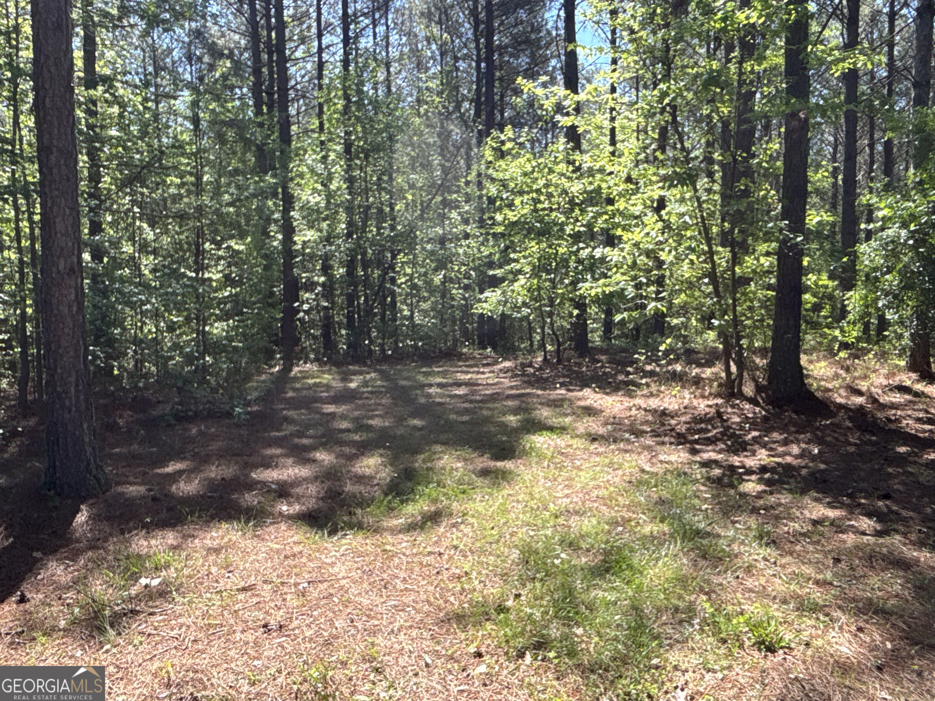 370 Pleasant Hill Road Rockmart GA 30153
