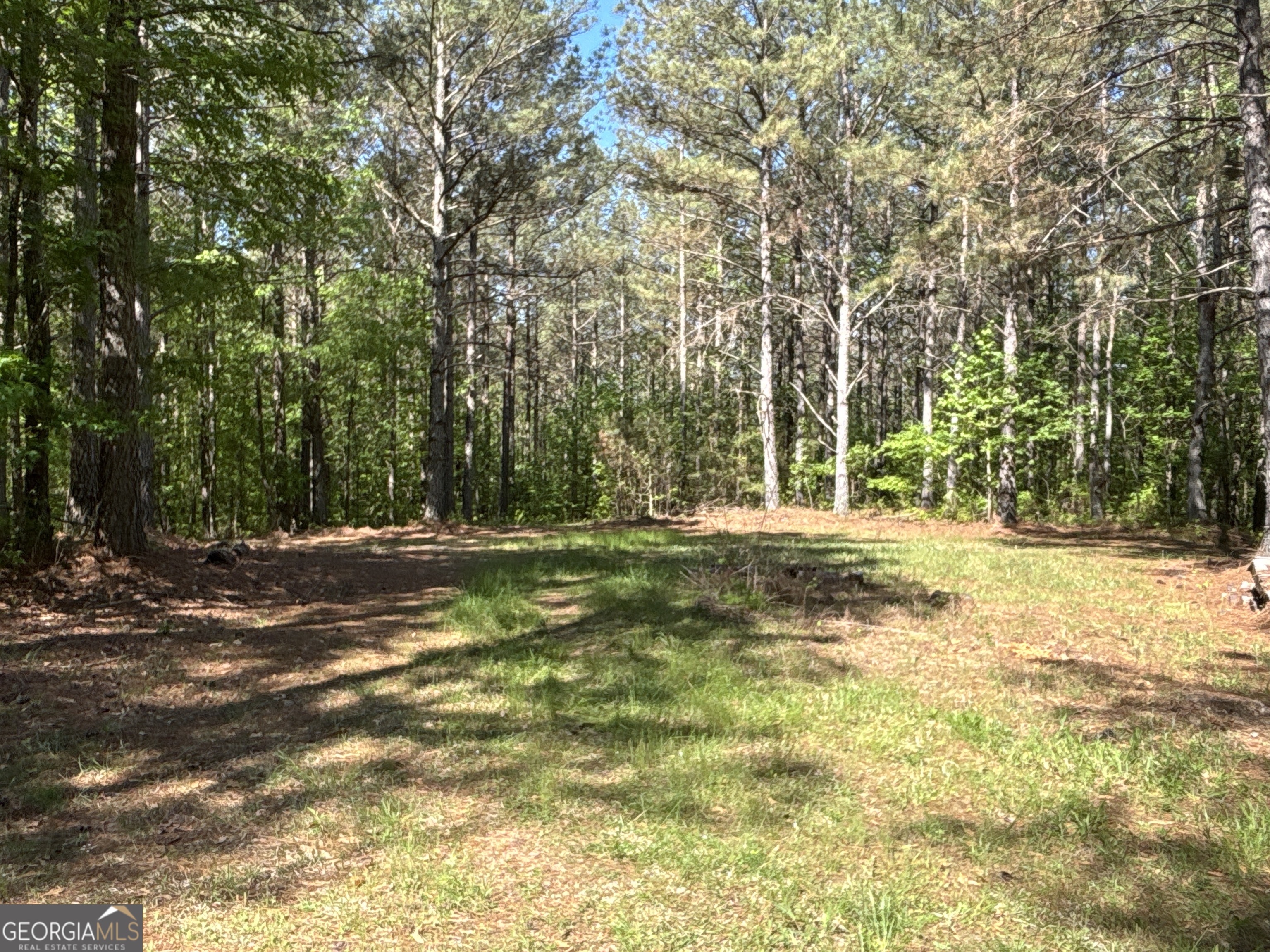 370 Pleasant Hill Road Rockmart GA 30153