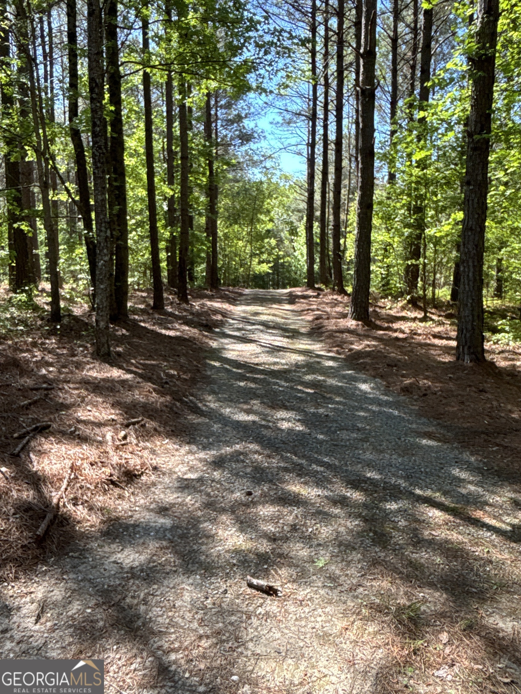 370 Pleasant Hill Road Rockmart GA 30153