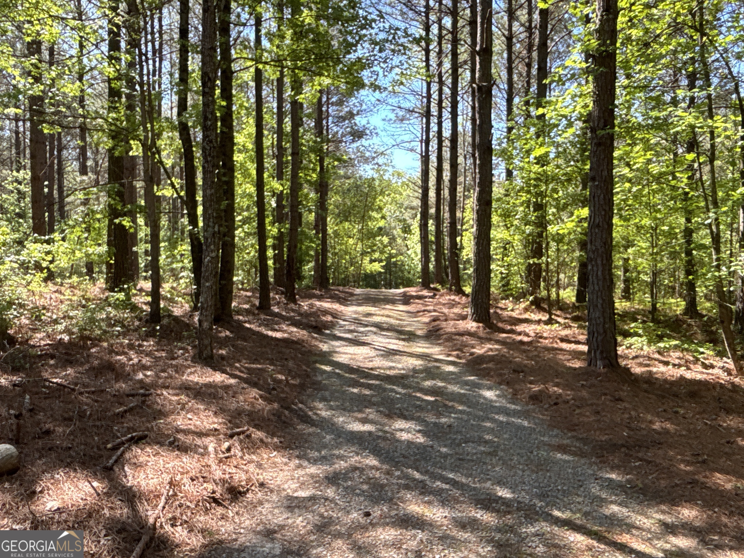 370 Pleasant Hill Road Rockmart GA 30153