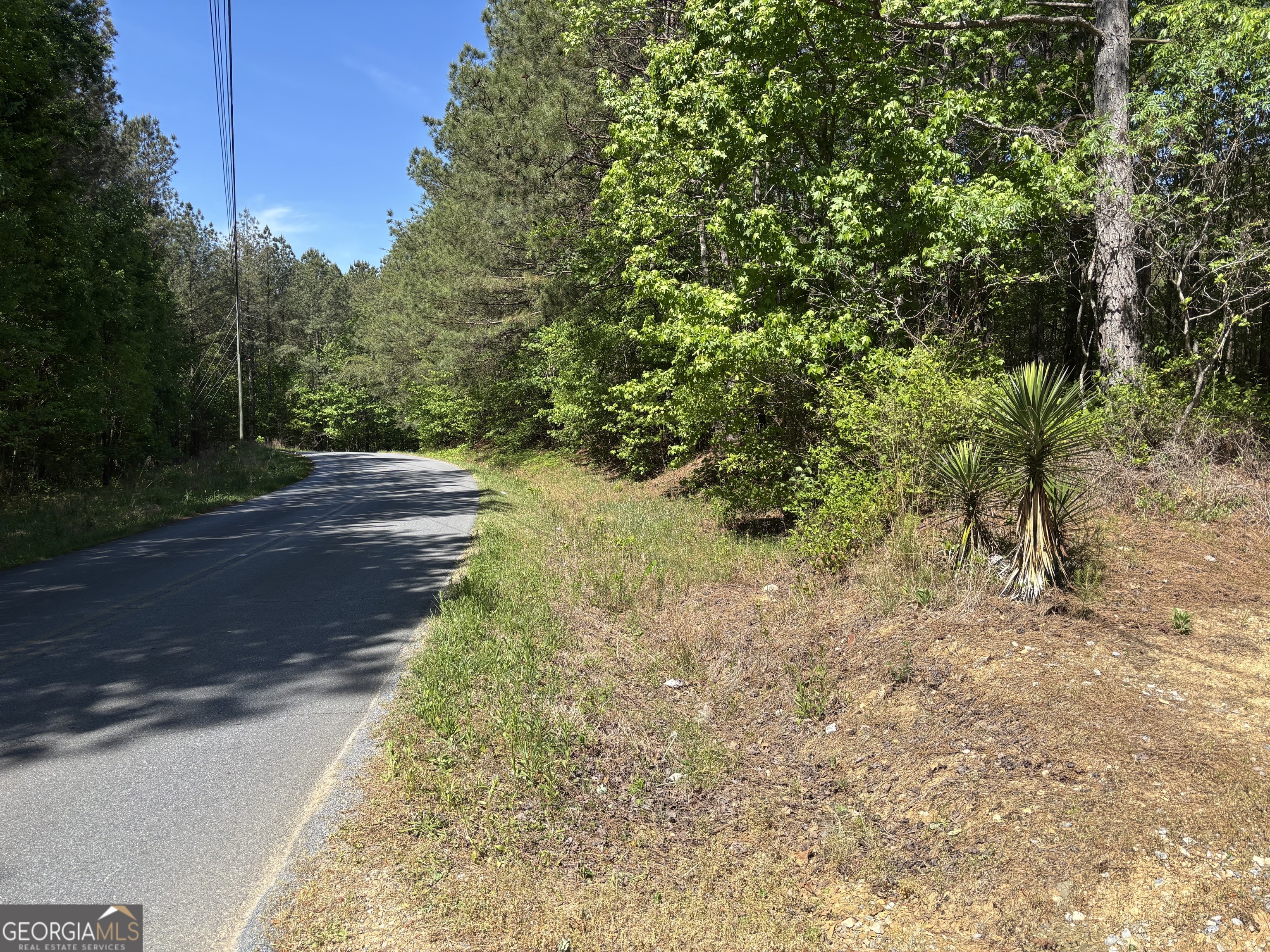 370 Pleasant Hill Road Rockmart GA 30153