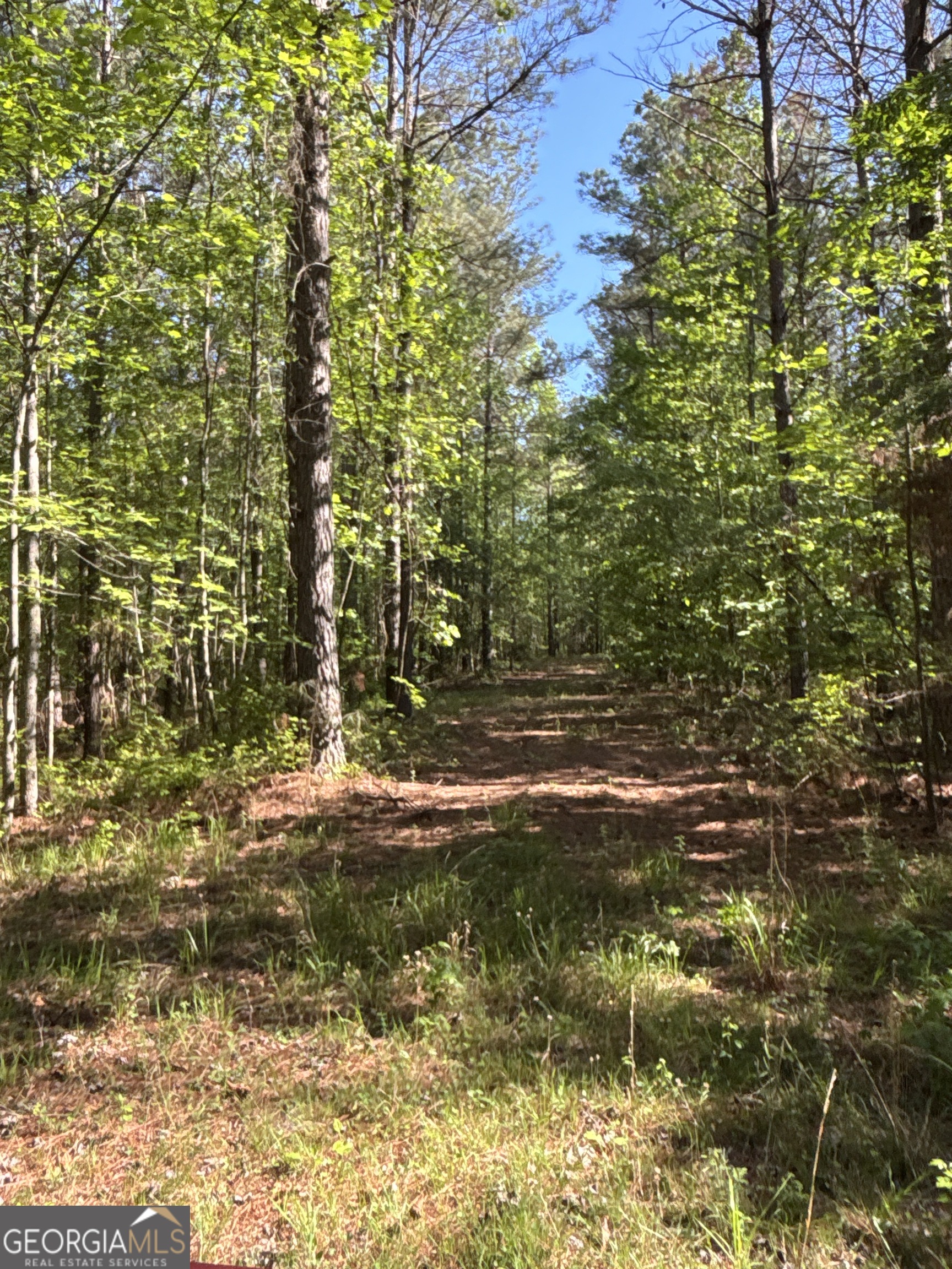 370 Pleasant Hill Road Rockmart GA 30153