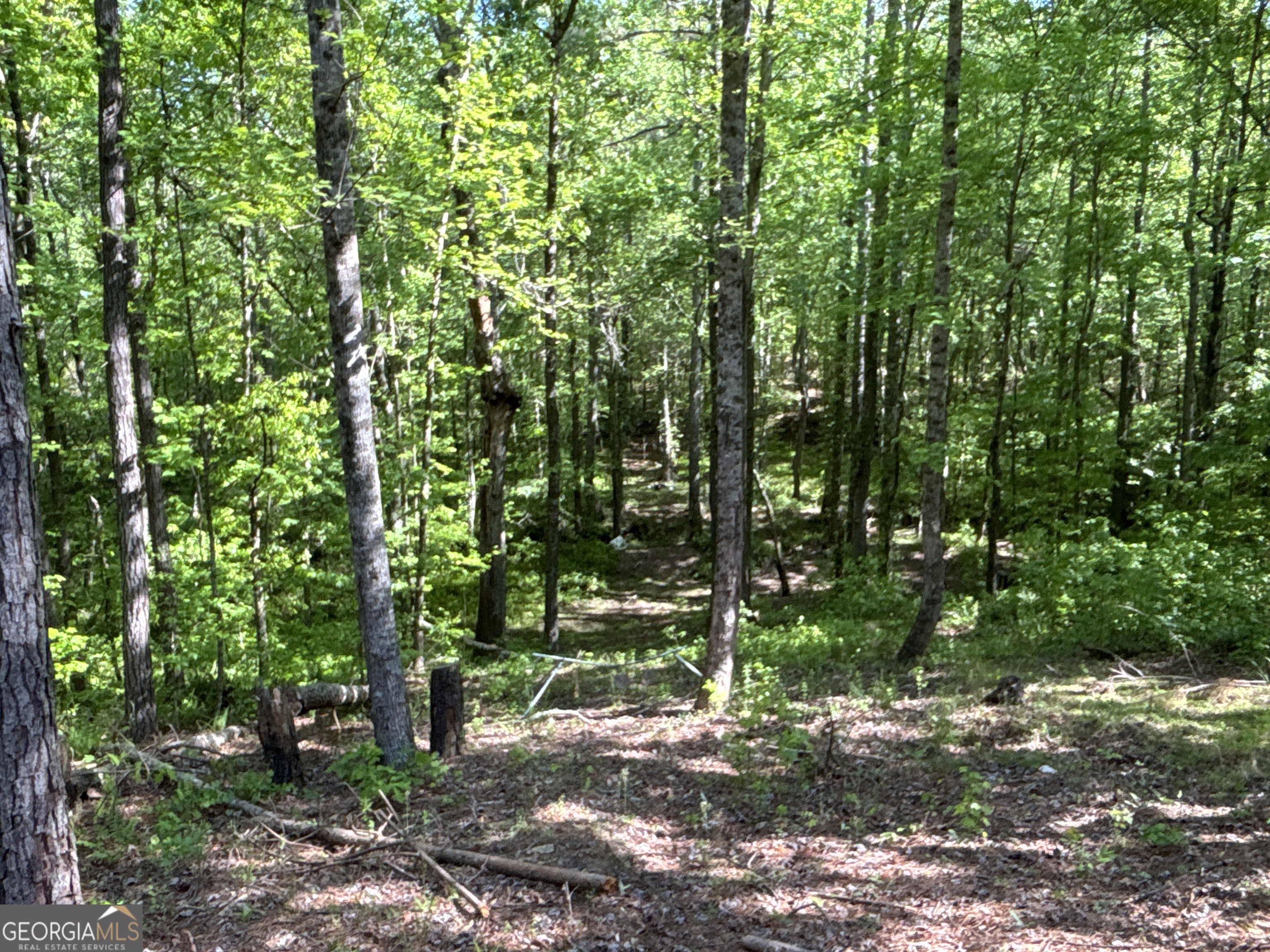 370 Pleasant Hill Road Rockmart GA 30153