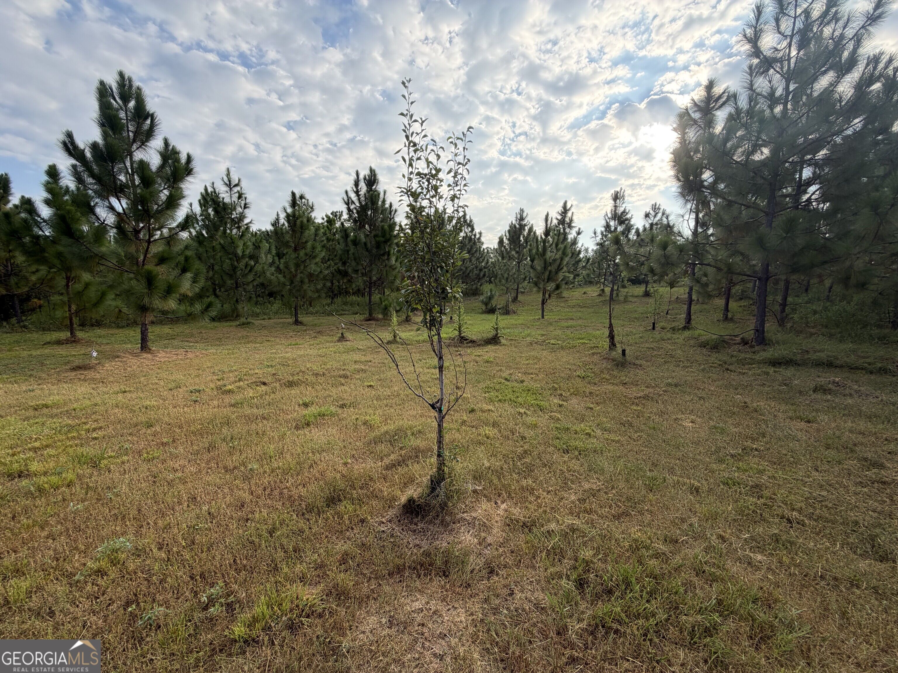 0 Oak Grove Road Pine Mountain GA 31822