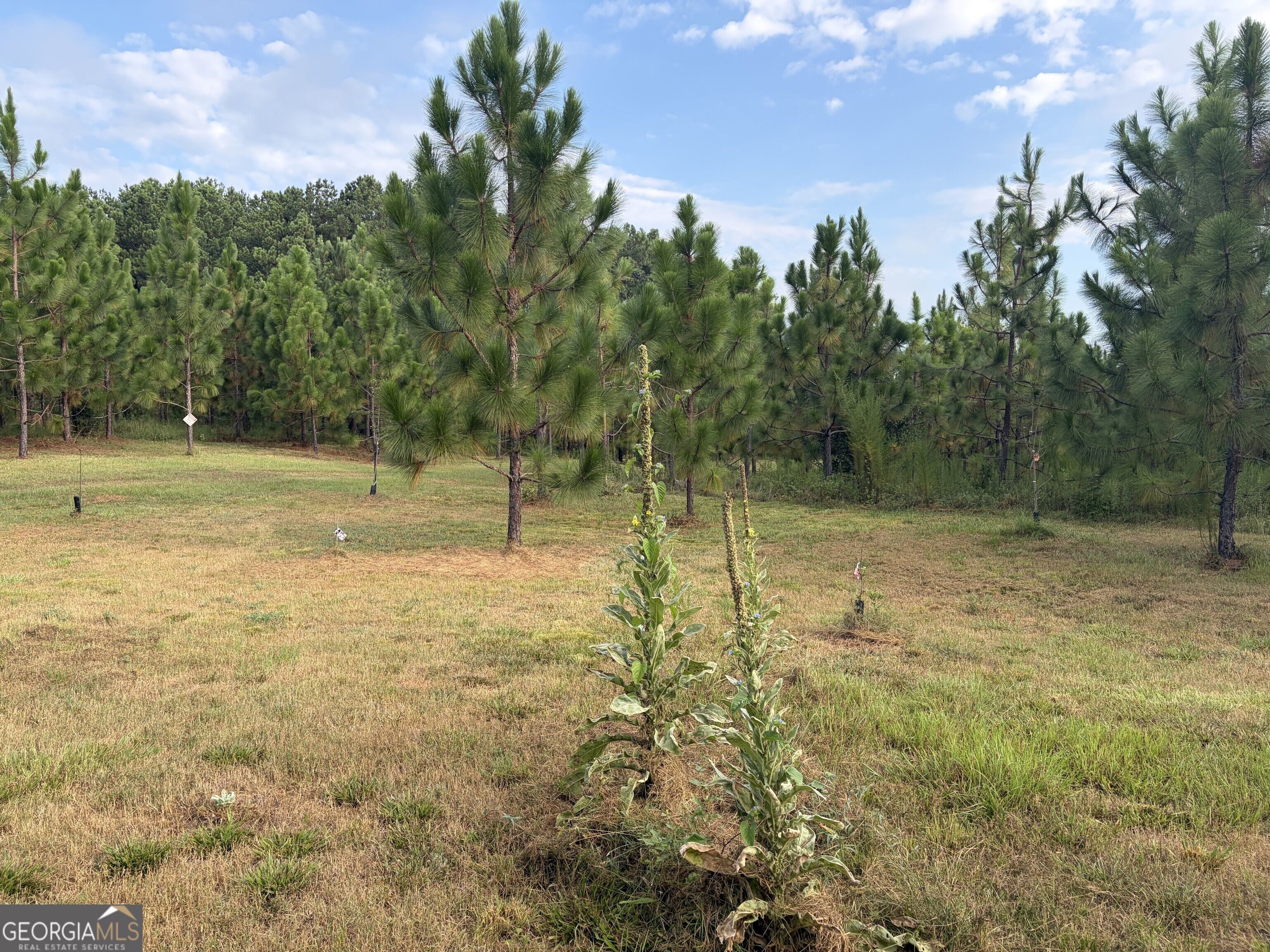 0 Oak Grove Road Pine Mountain GA 31822