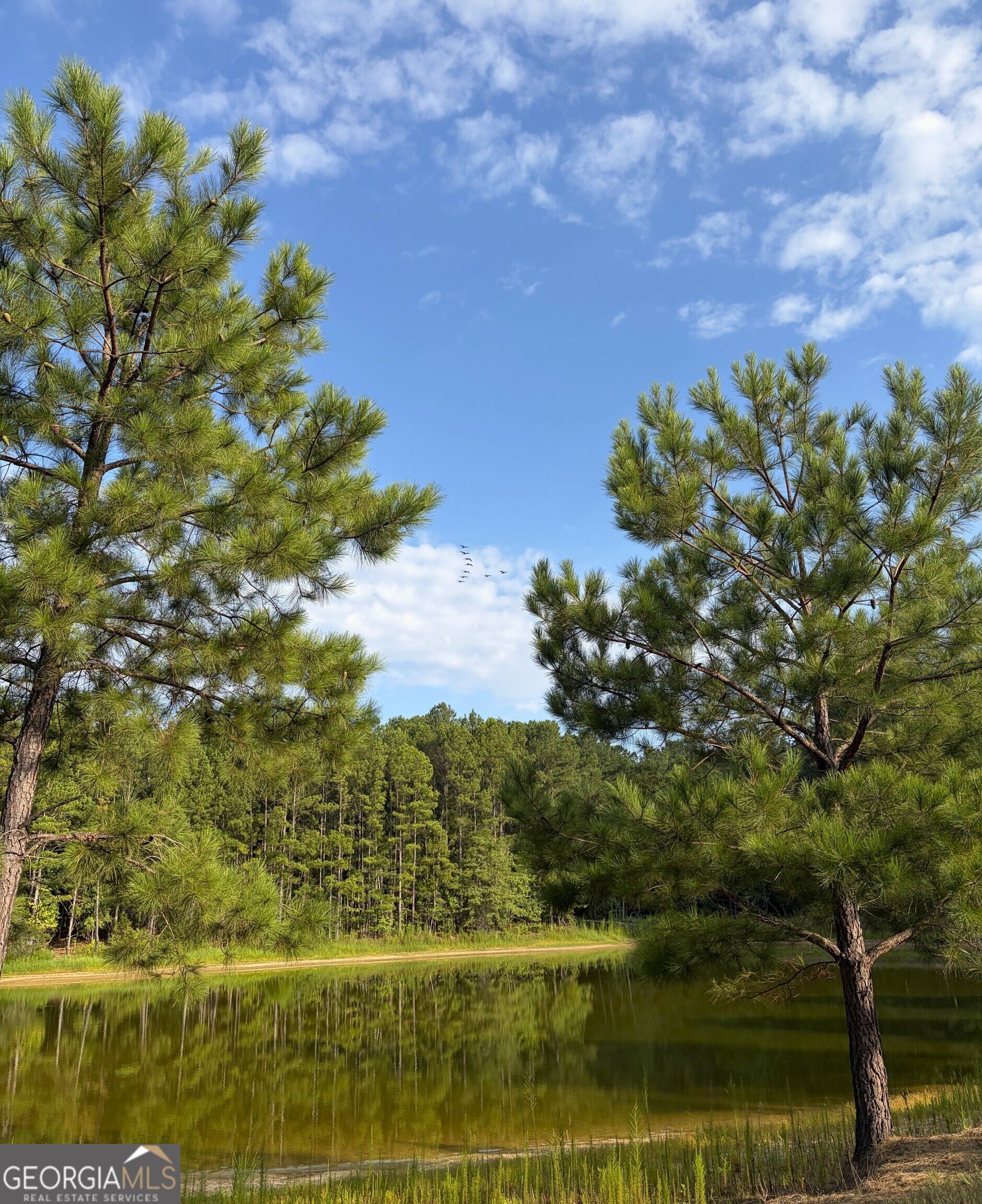 0 Oak Grove Road Pine Mountain GA 31822