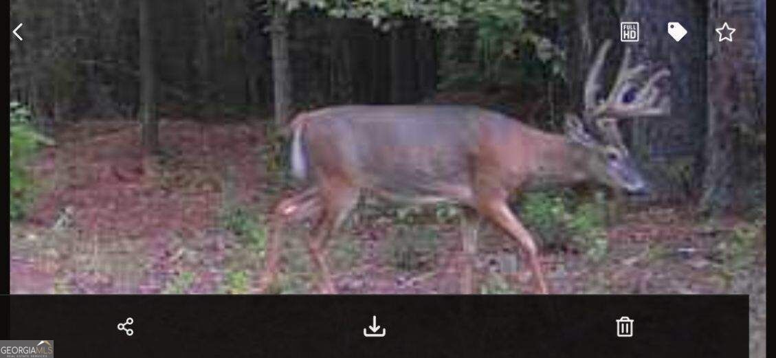 0 Oak Grove Road Pine Mountain GA 31822