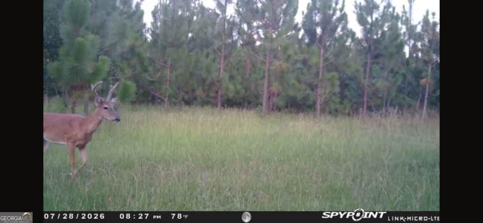 0 Oak Grove Road Pine Mountain GA 31822