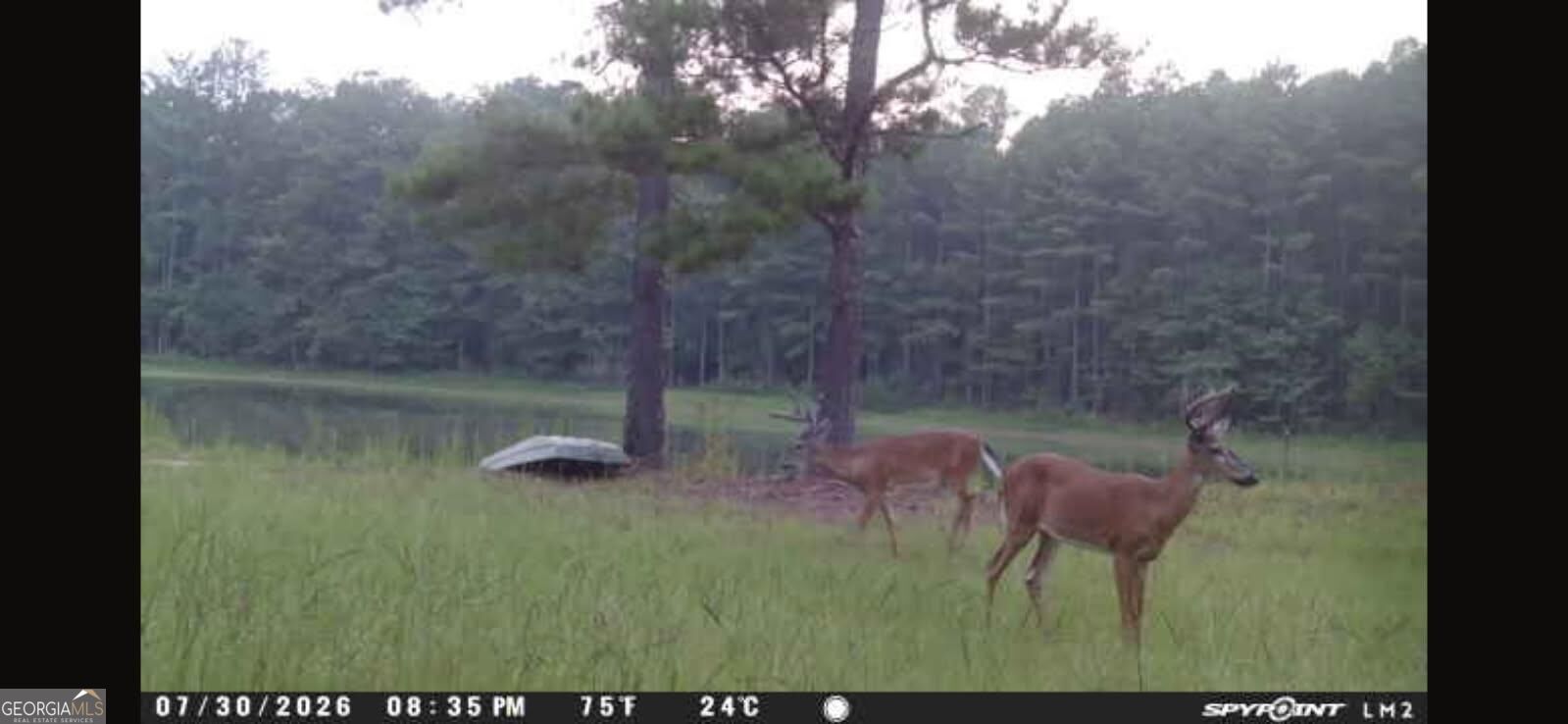 0 Oak Grove Road Pine Mountain GA 31822