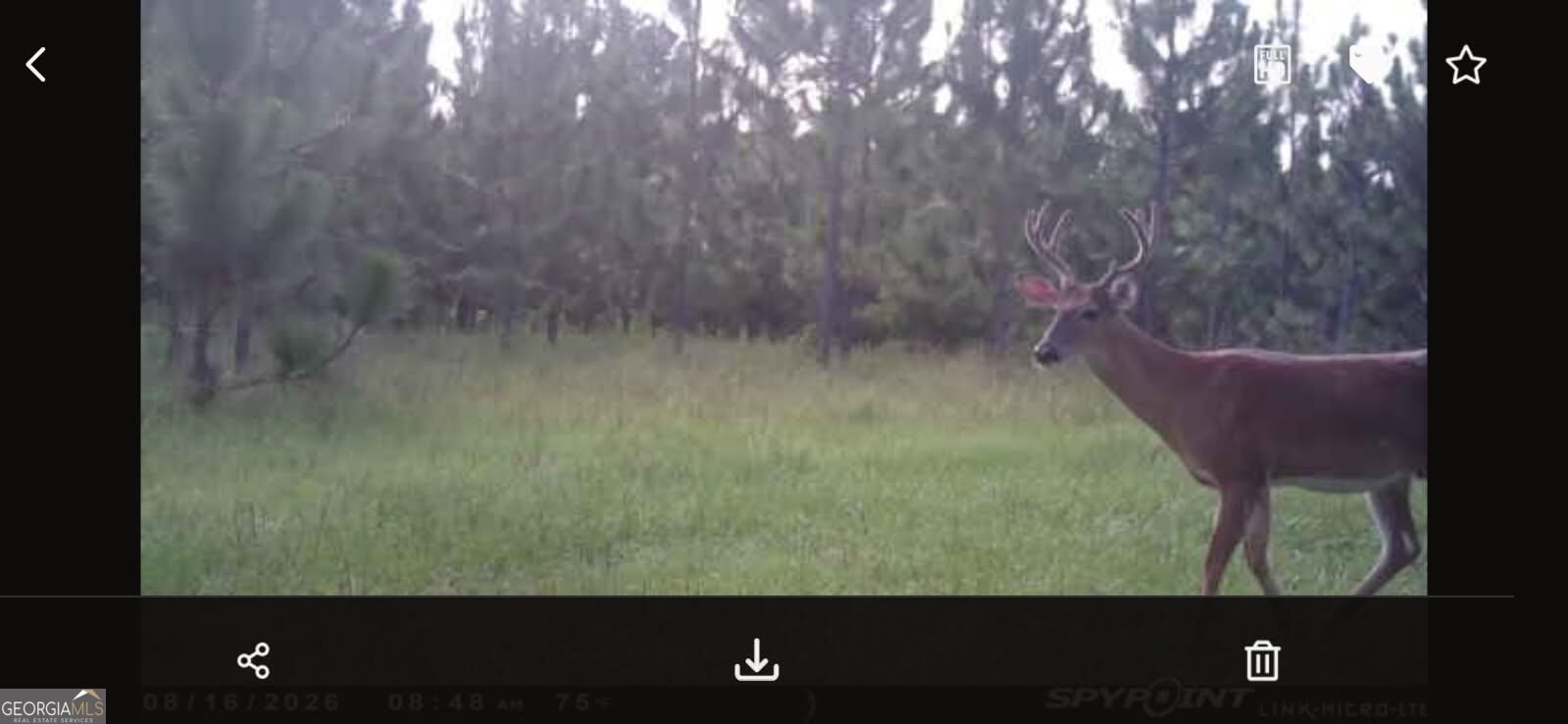 0 Oak Grove Road Pine Mountain GA 31822