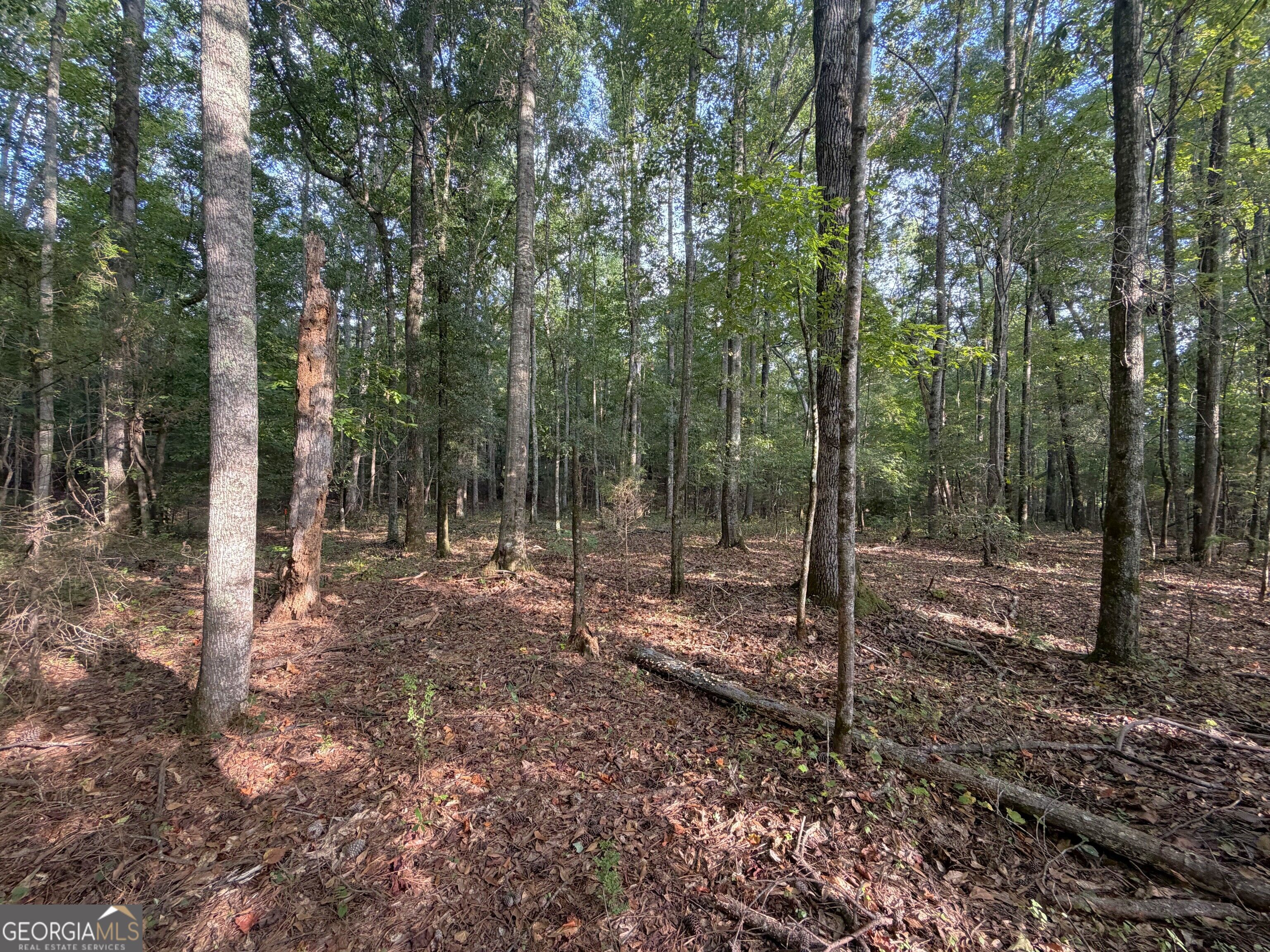 0 Oak Grove Road Pine Mountain GA 31822