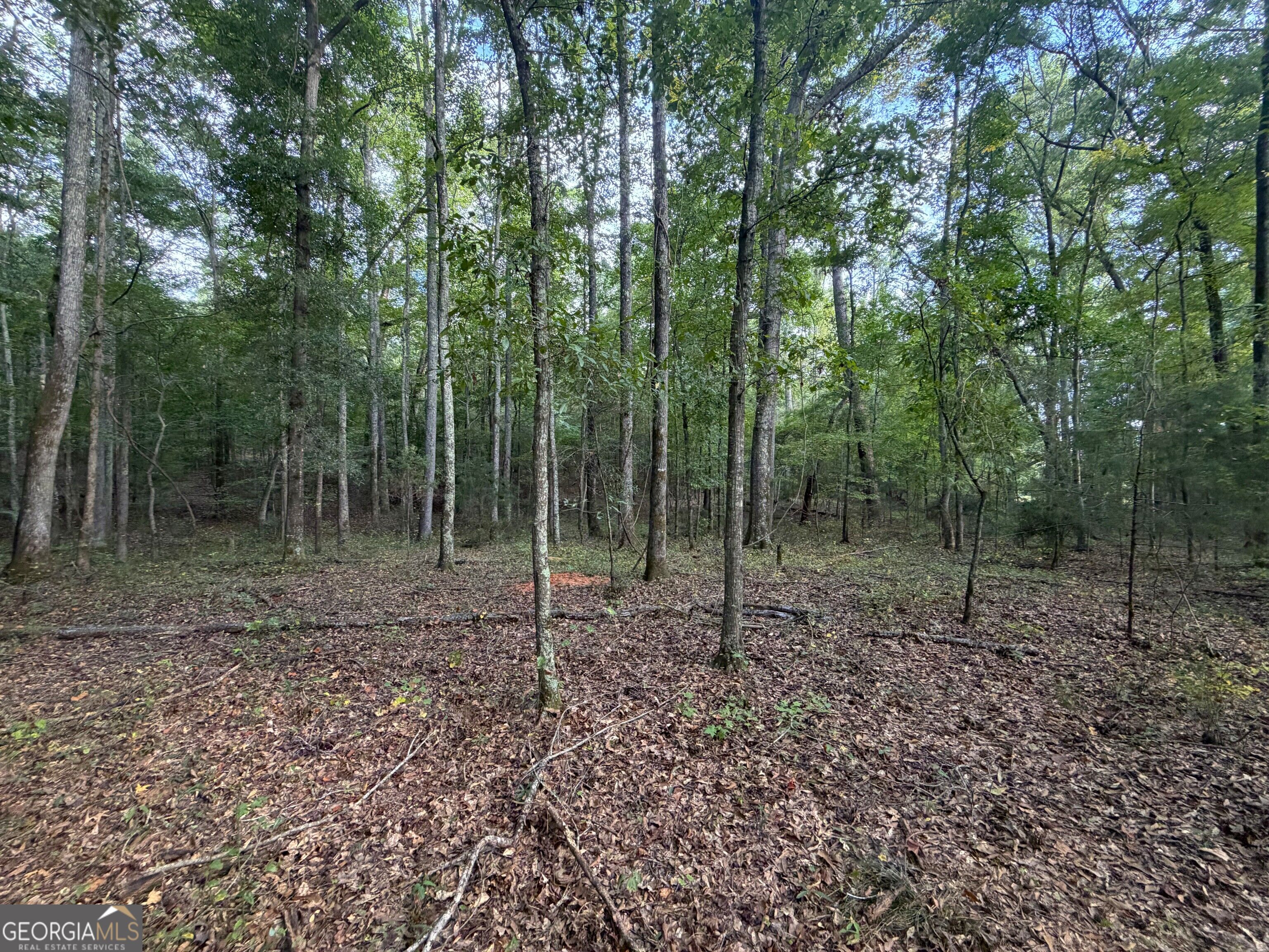 0 Oak Grove Road Pine Mountain GA 31822