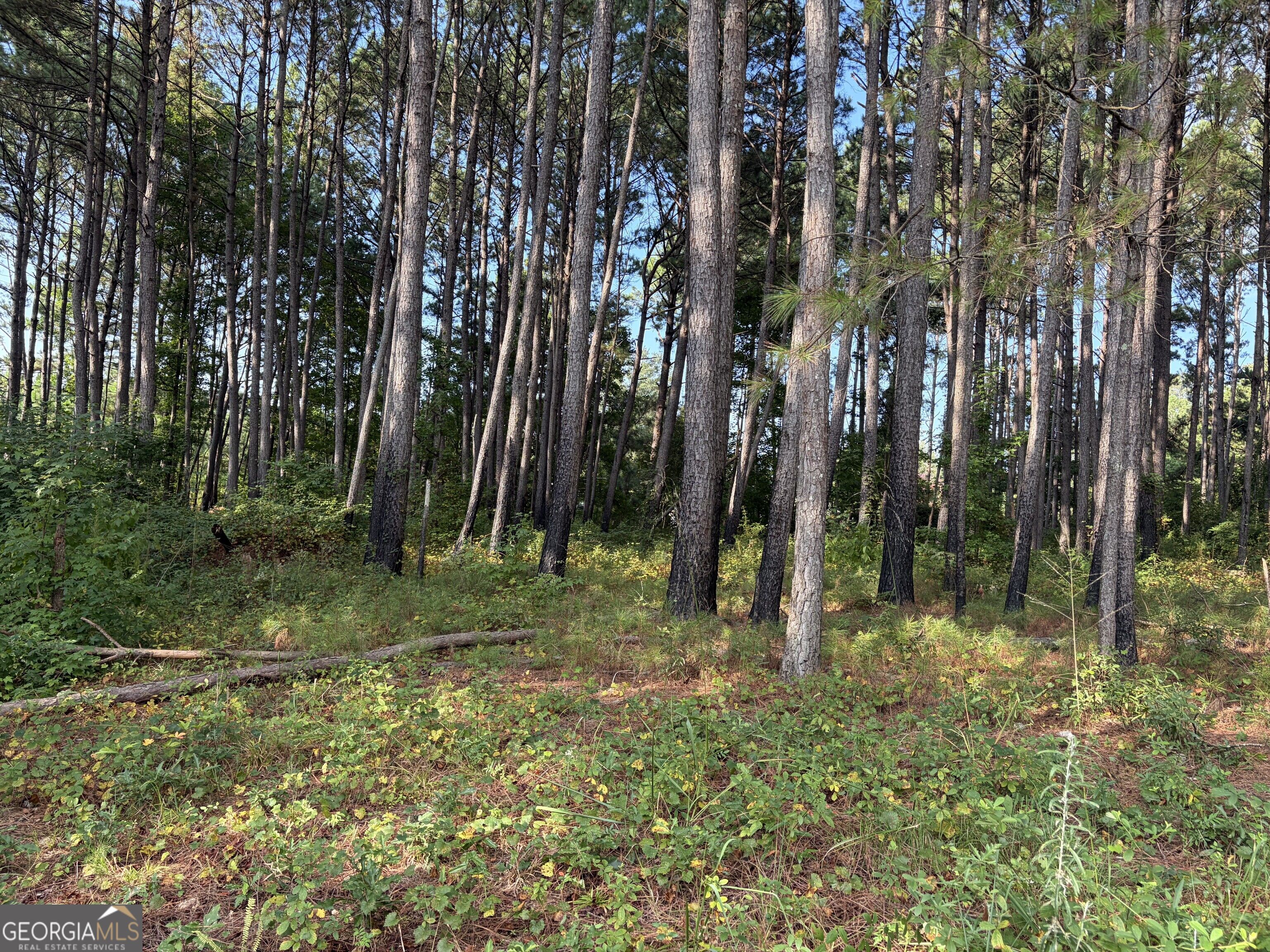 0 Oak Grove Road Pine Mountain GA 31822