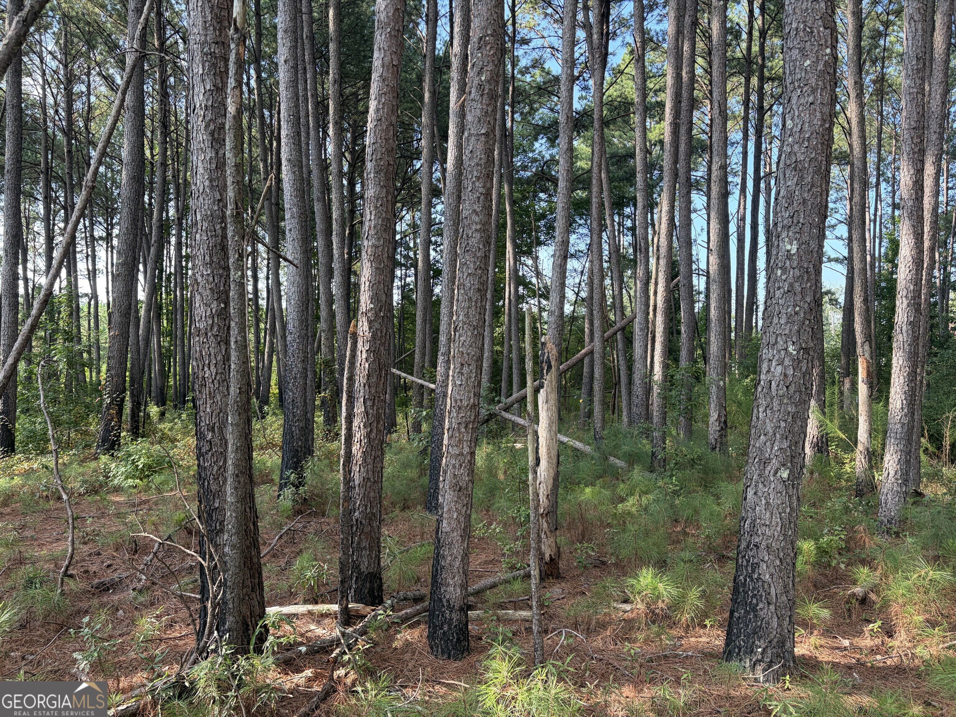 0 Oak Grove Road Pine Mountain GA 31822