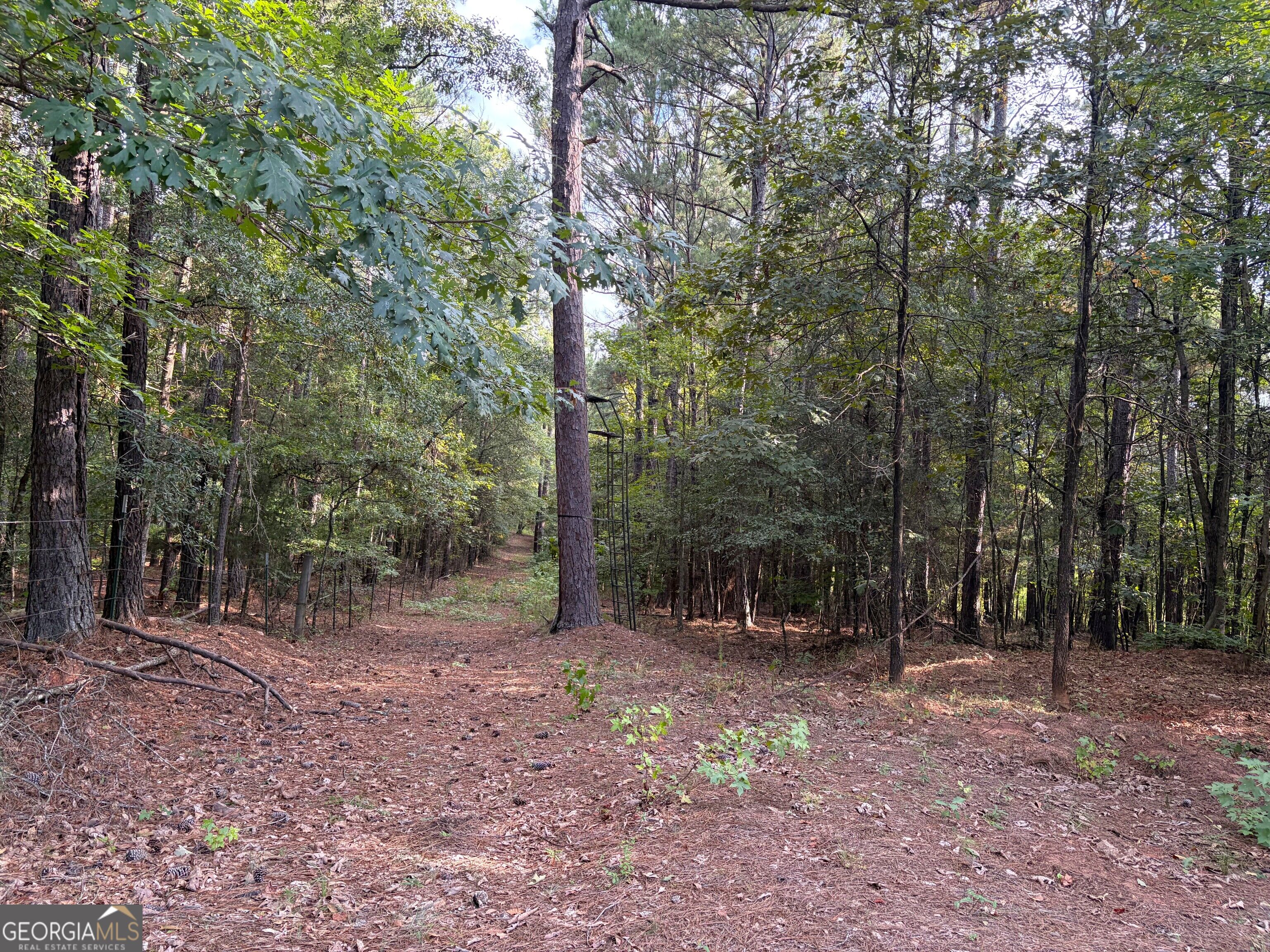 0 Oak Grove Road Pine Mountain GA 31822