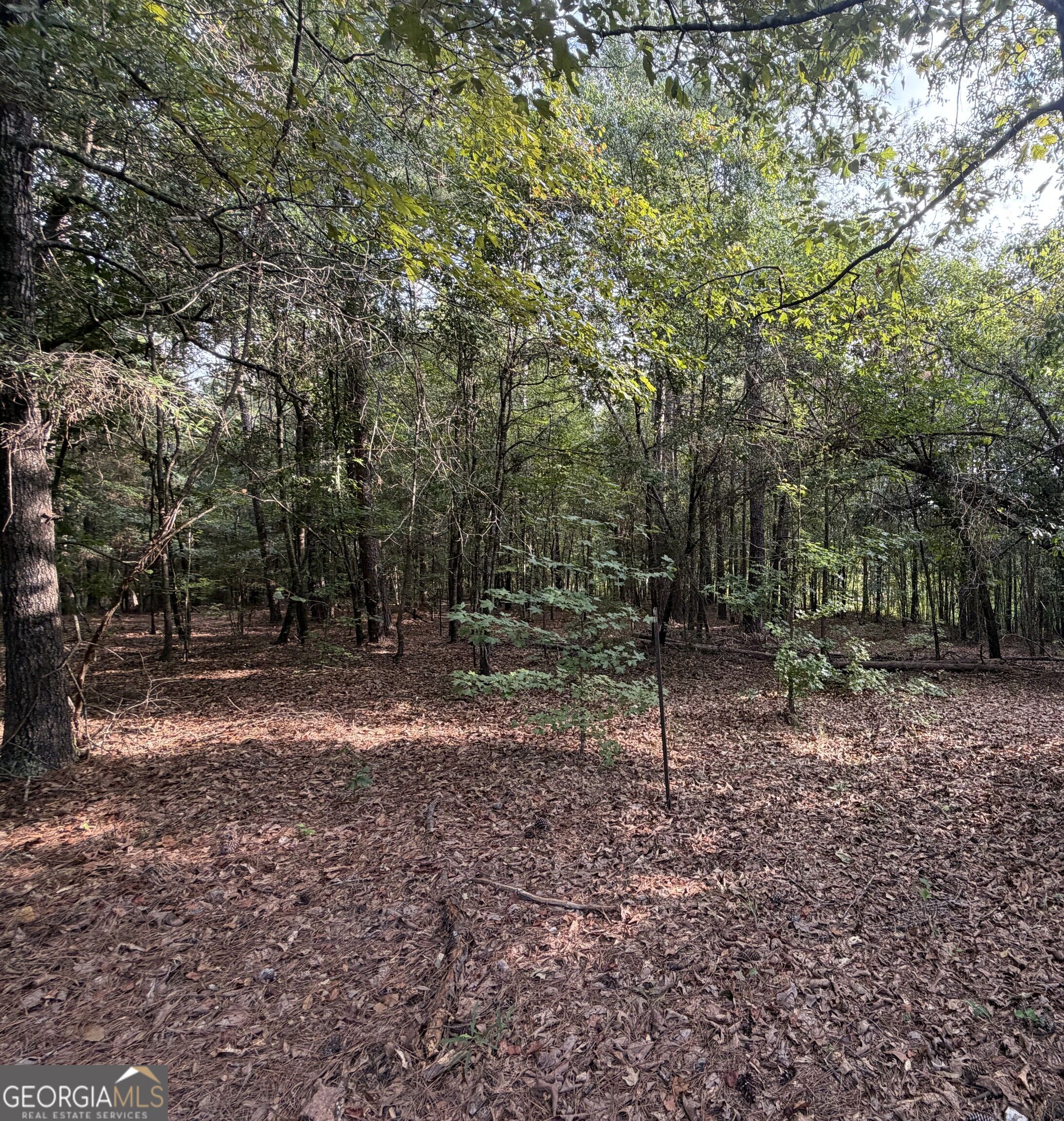 0 Oak Grove Road Pine Mountain GA 31822